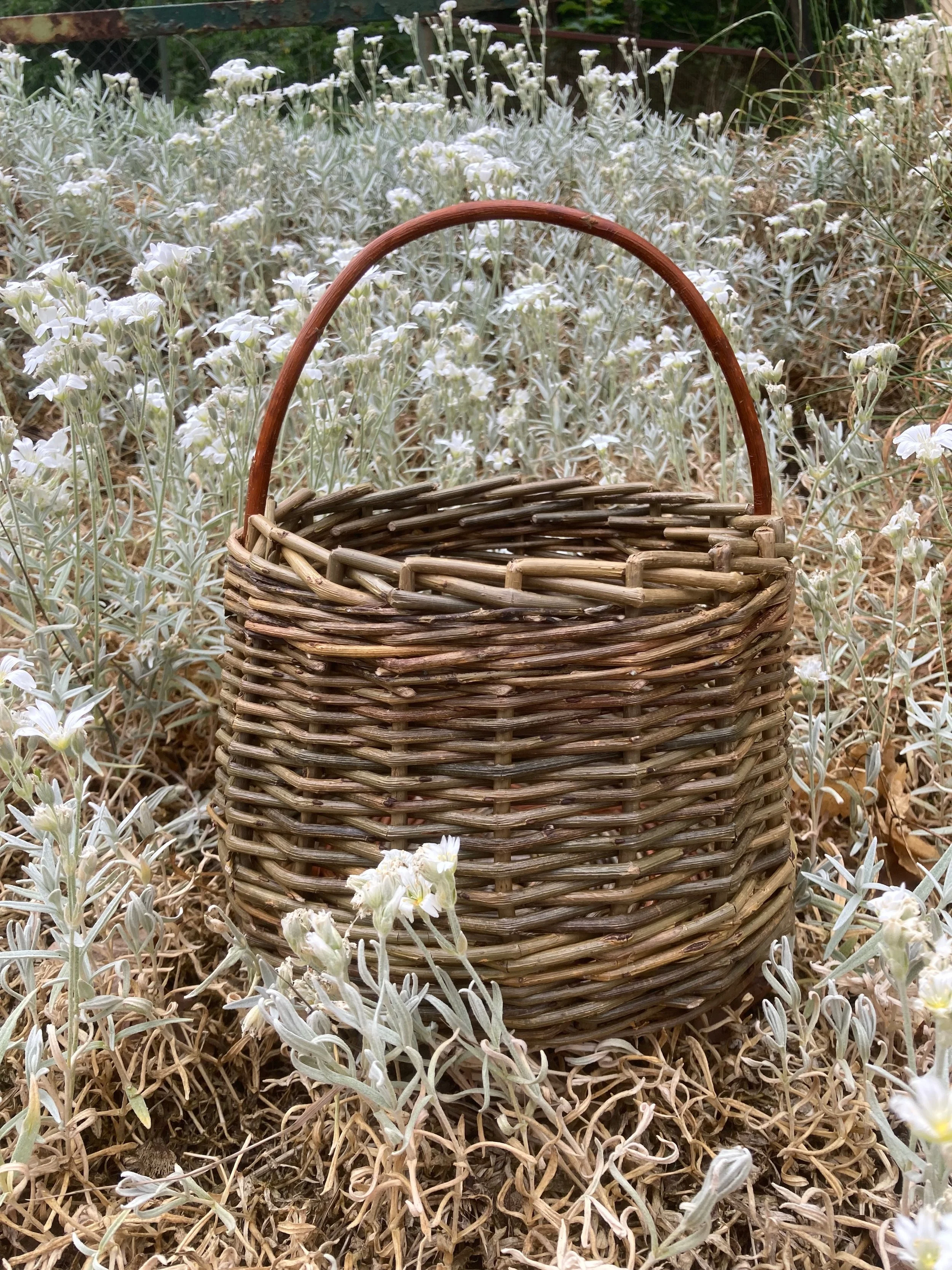 Willow foraging basket