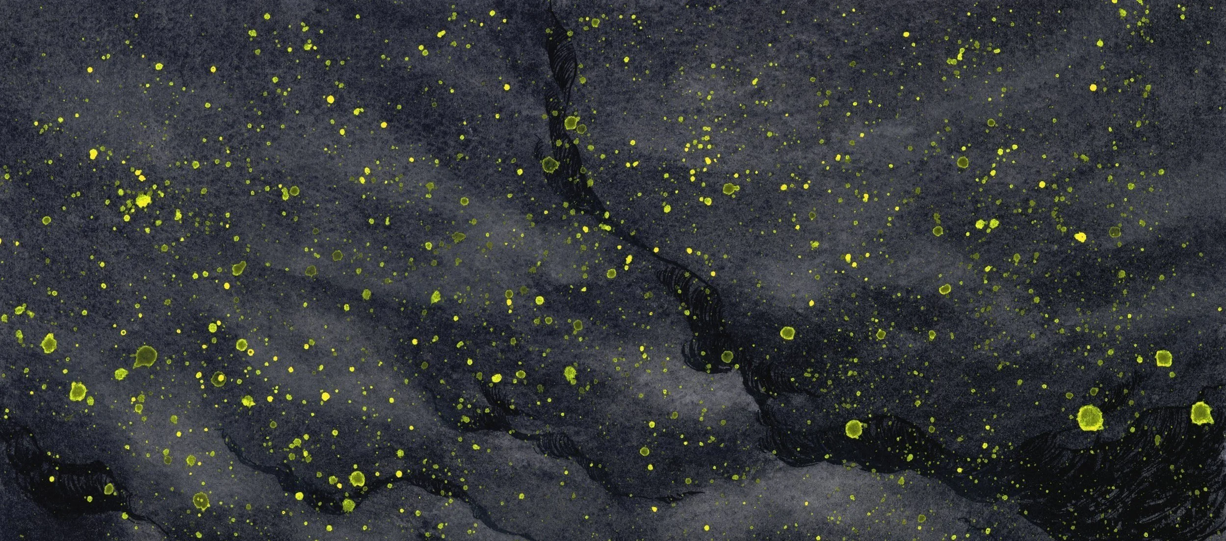 20220315-canarycover-scan-WEB-ONLY-3000x4364.jpg