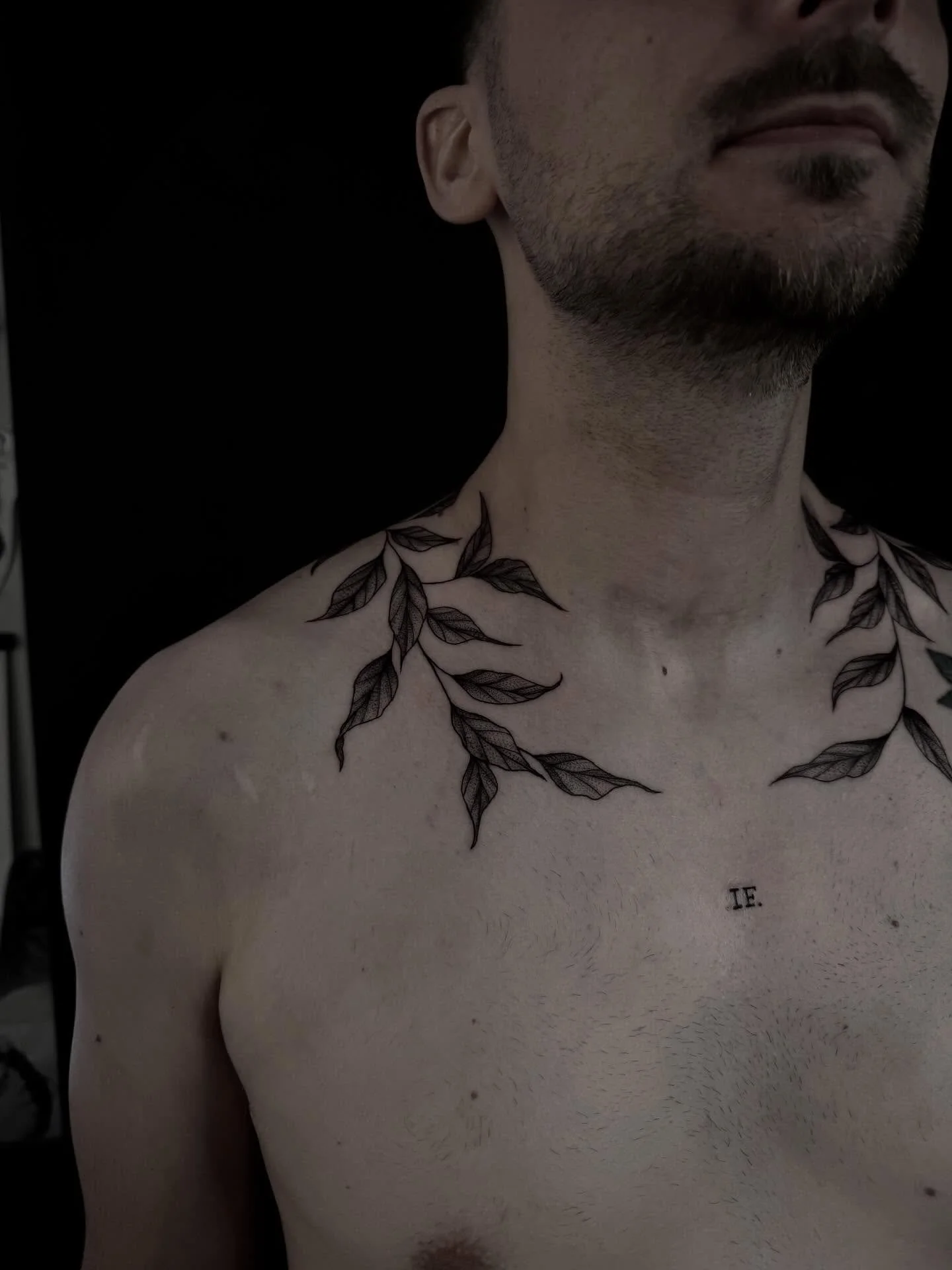 Some leafy boys I forgot to post. Thank you Bill 🖤