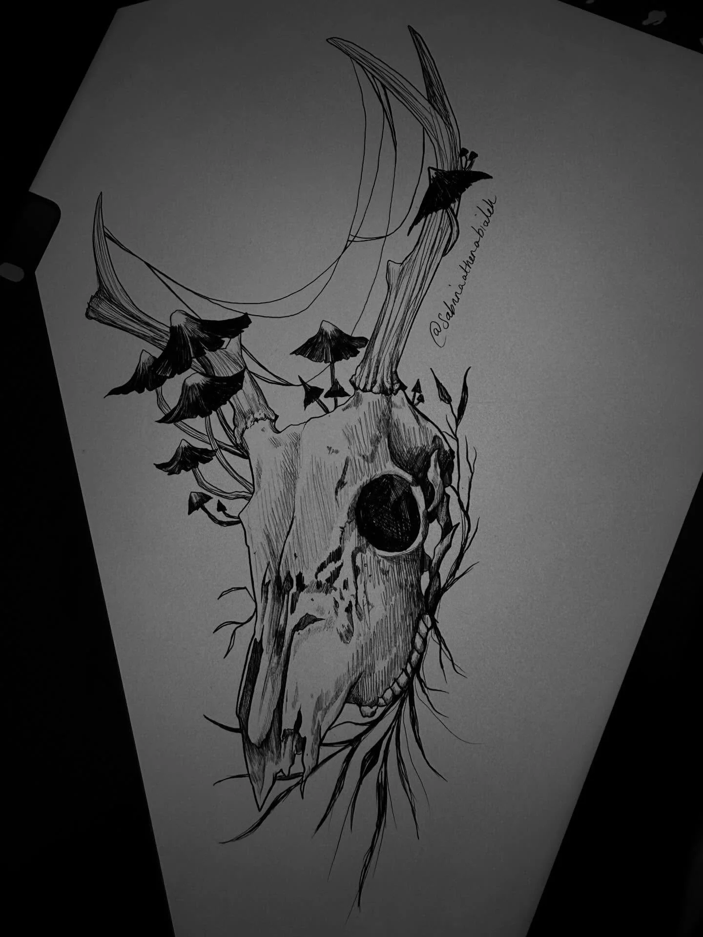 Rough sketch from tonight. Available. Email if you&rsquo;re interested 🫶🏻