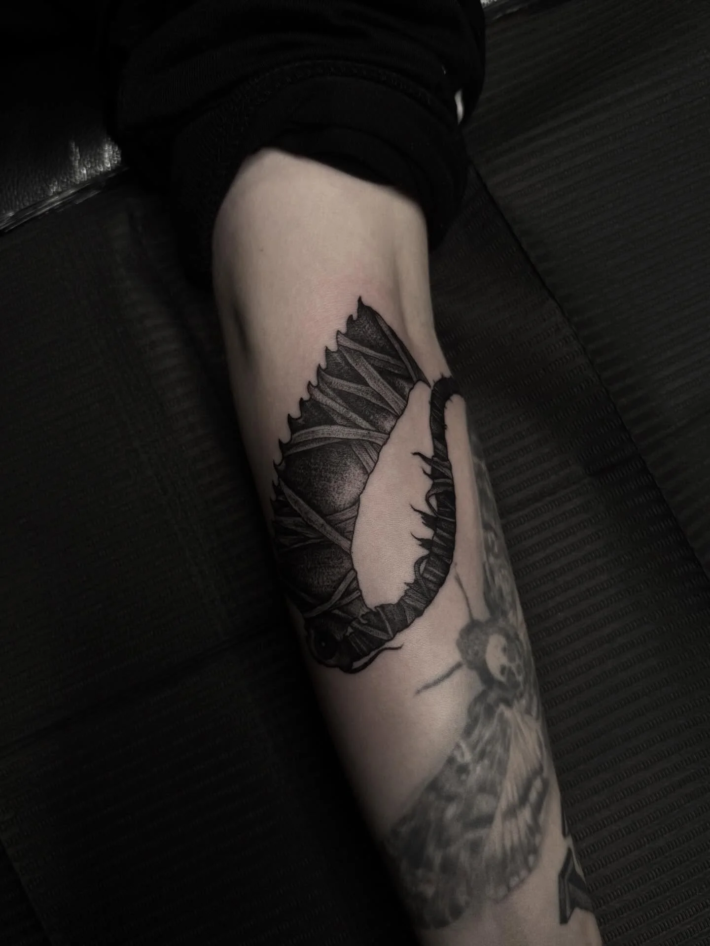 Saw clever from Bloodborne. Thank you Shania 🫶🏻