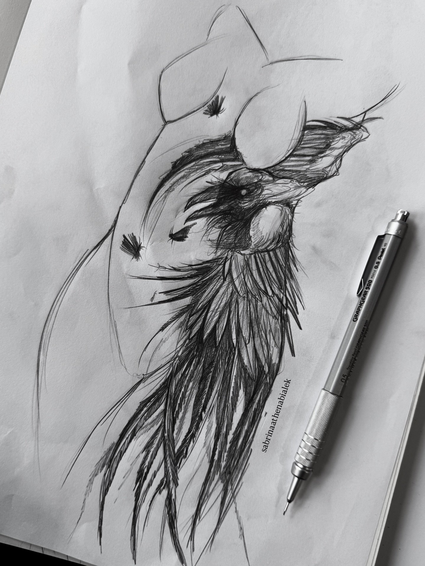 rough idea (wannado) 🐦&zwj;⬛