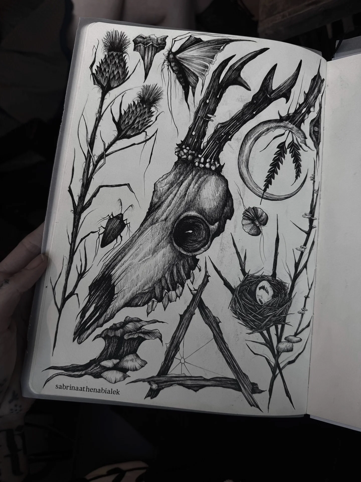 Page from my sketchbook. Woodland entities🪾