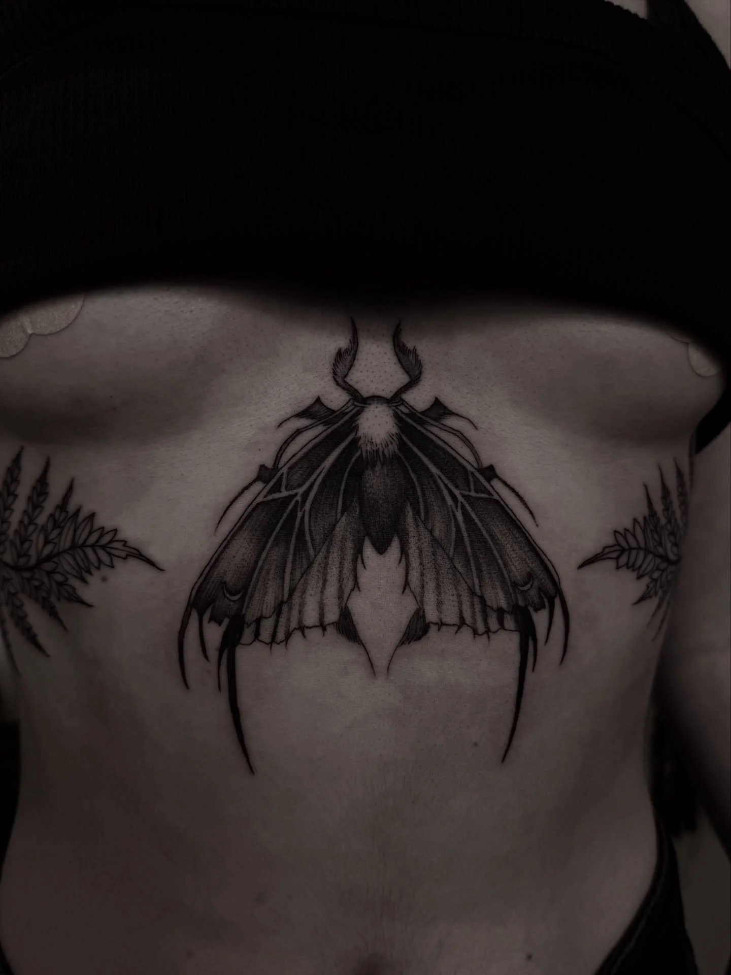 Thank you for being brave! Fern shading next time 💪🏻