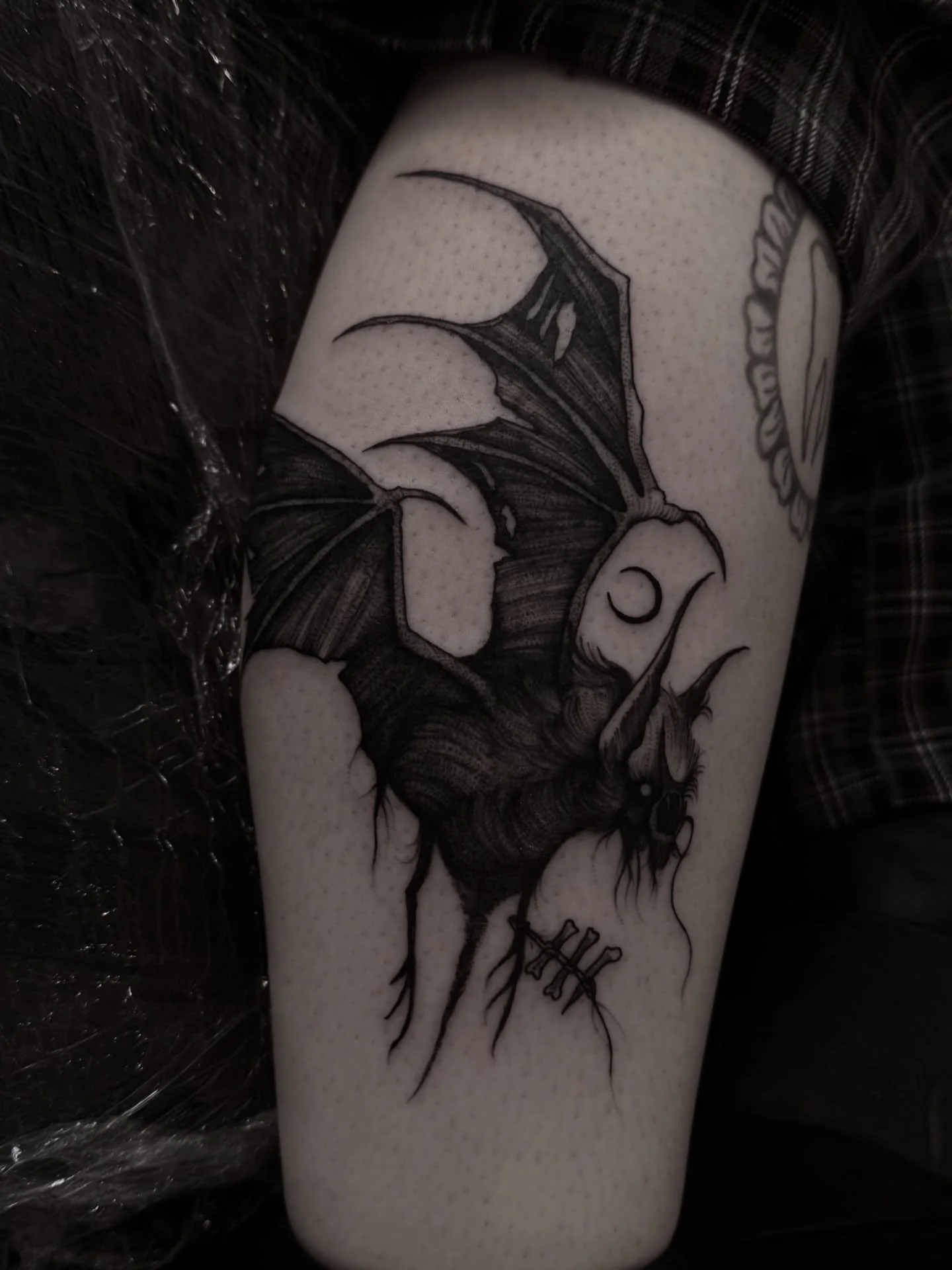 Lil bat from the bone crypt 🦴🦇