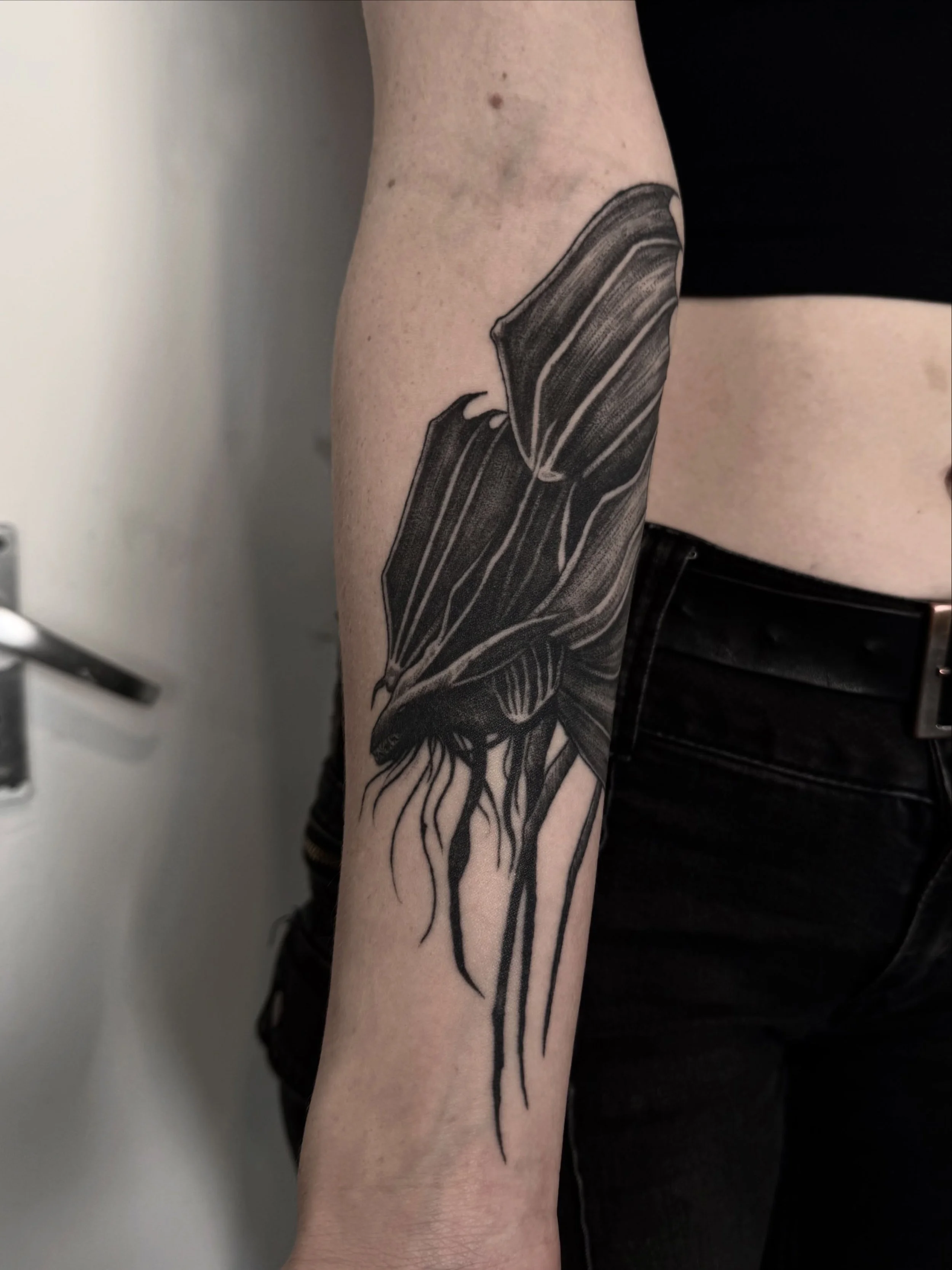 Healed creature 🦇