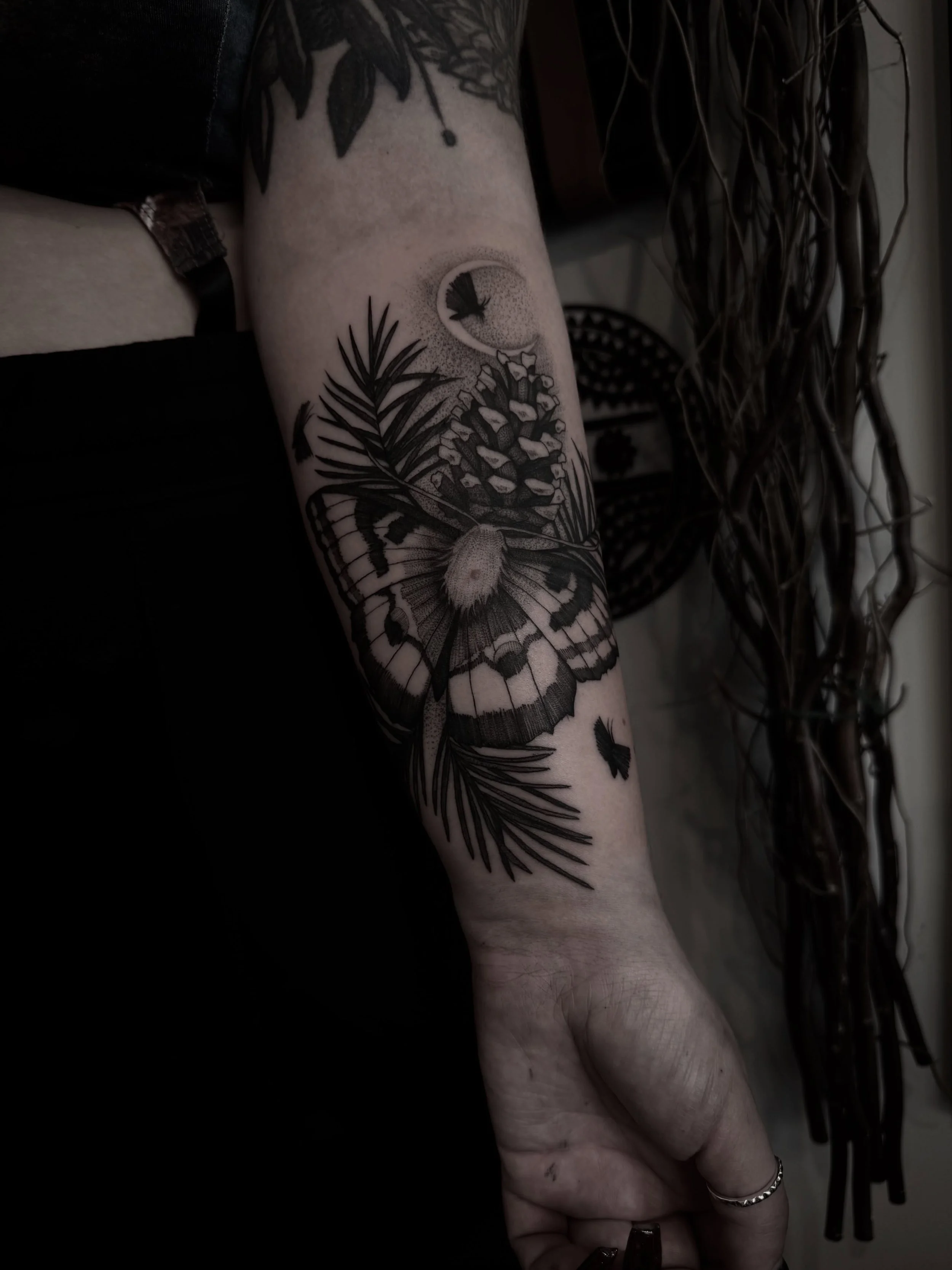 Lil moth. Thank you!
I love adding my lil flying moths, it&rsquo;s my new favourite thing!