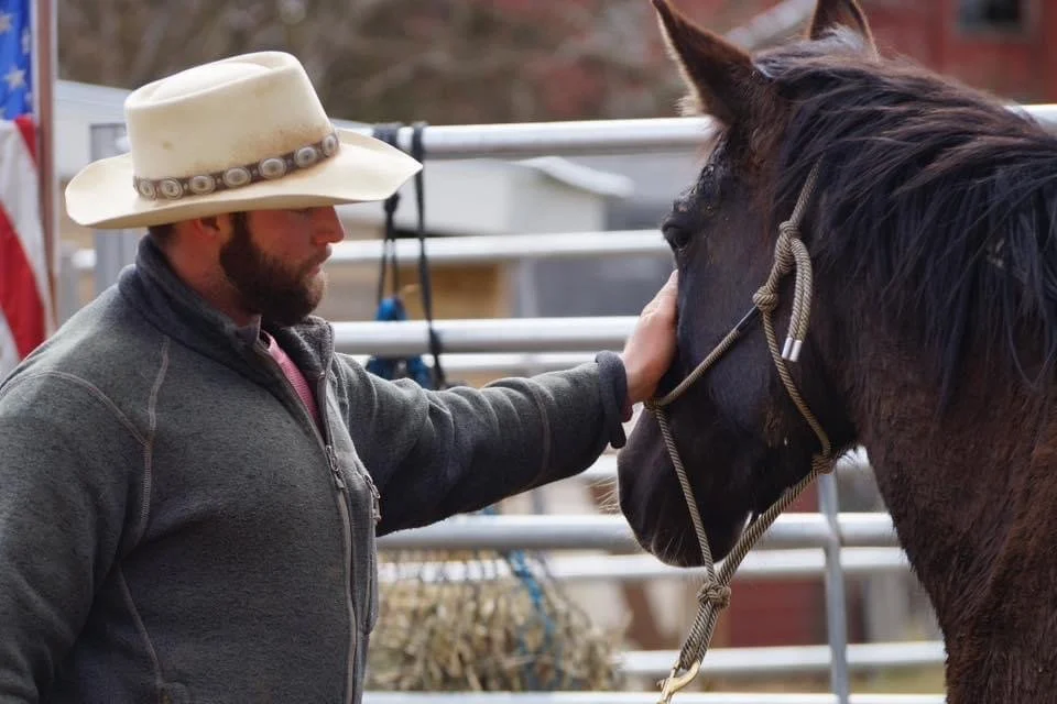 Centaur Horsemanship Training Library