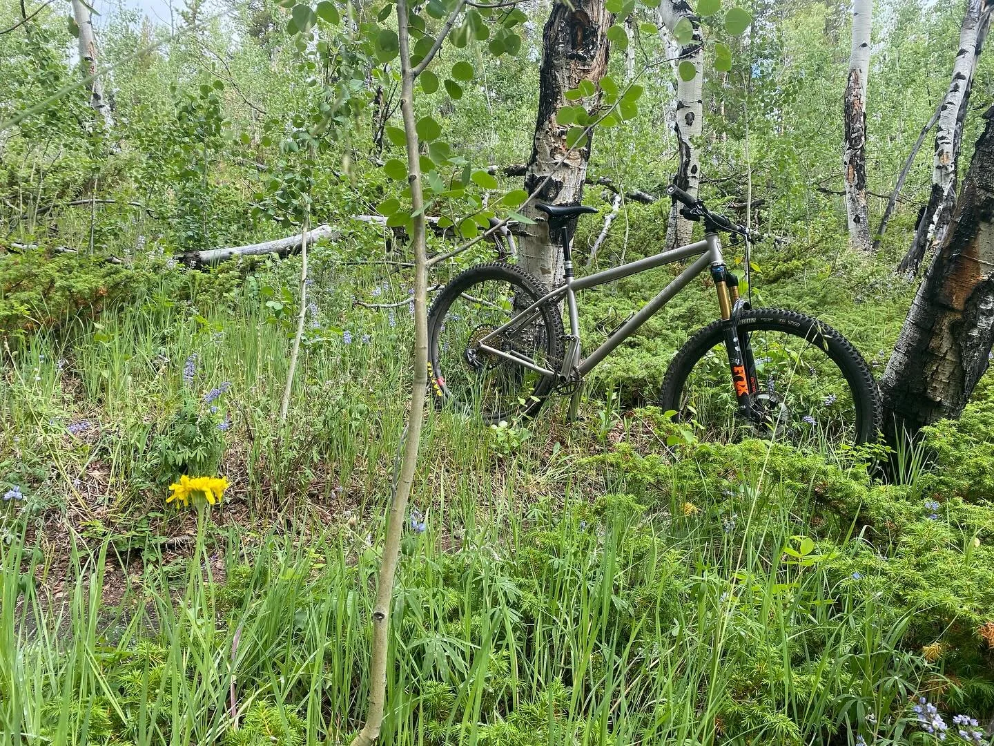 I believe this is what they call hero dirt!&hellip;The flowers were nice too👌. Thank you @cloudcitywheelers for such saweet trails! . #herodirt