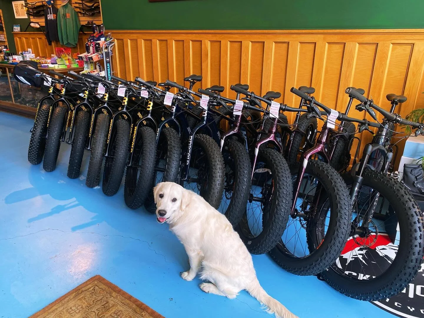 All FAT bikes are on sale!&hellip;Like, really on sale. Come check them out. If you&rsquo;re on the fence, come rent one!..We&rsquo;ll put two days of rental fees towards your purchase. #borealisbikes #salsacycles #winterhasjustbegun