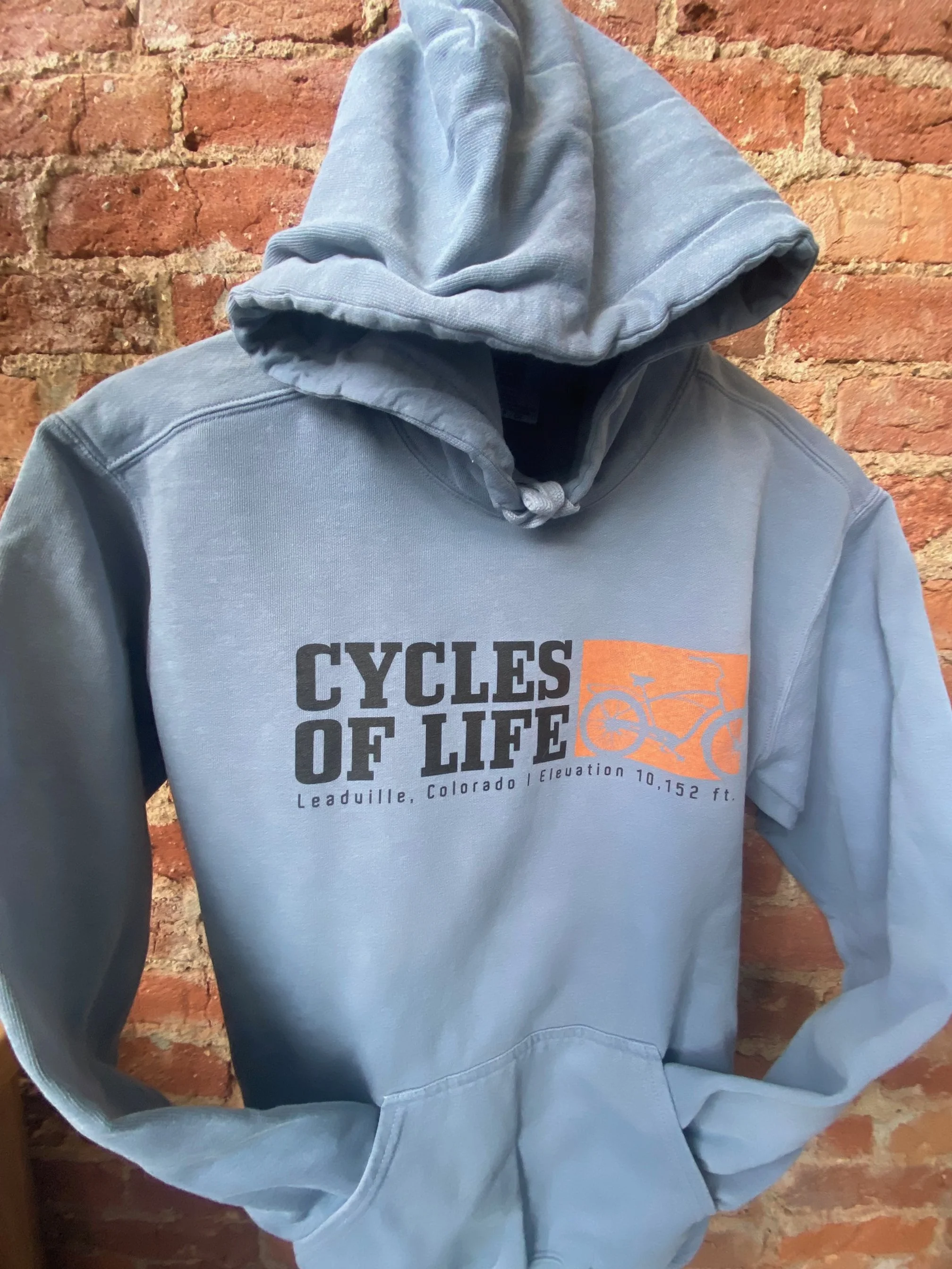 Cycles of Life Hoody
