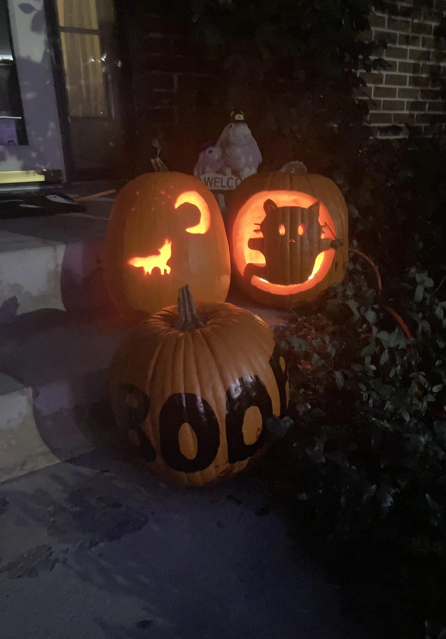  The same three pumpkins at night. Both carved pumpkins are lit and glowing. 