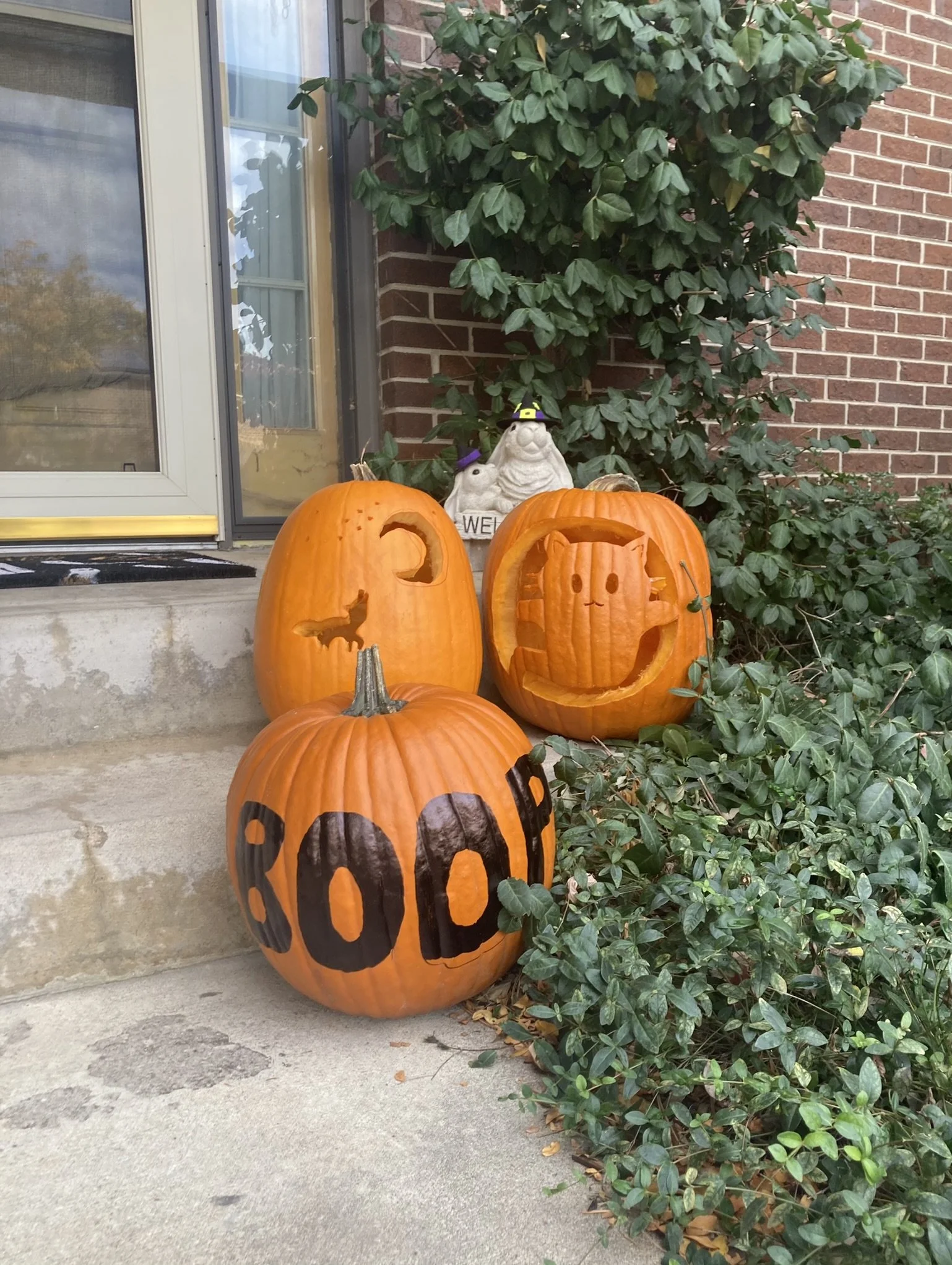  Three pumpkins on steps during the day. One carved with wolf and moon, one carved with cute ghost cat, one with “boop” drawn on.  