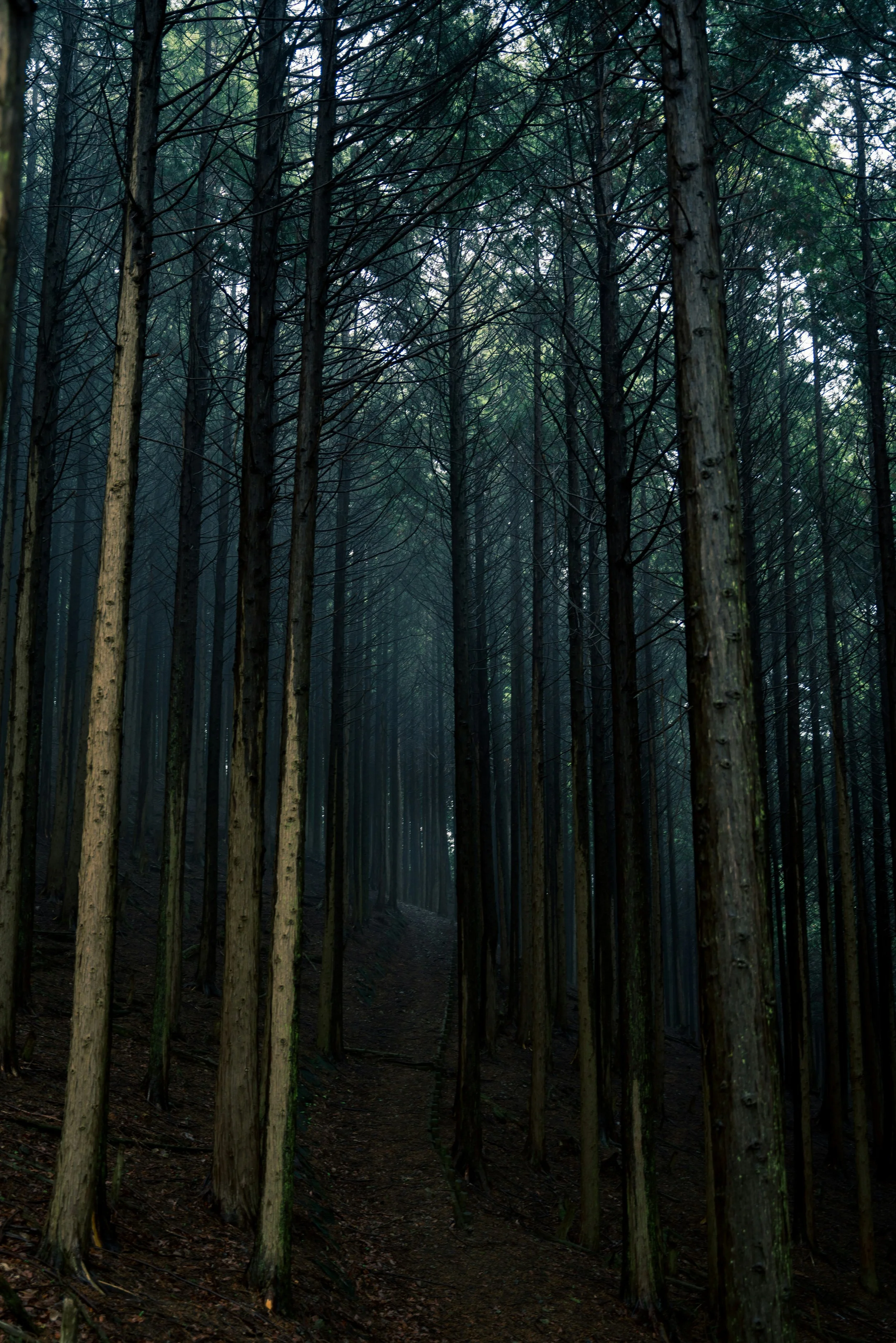 ritz-9HGJ_cxMECw-unsplash.jpg
