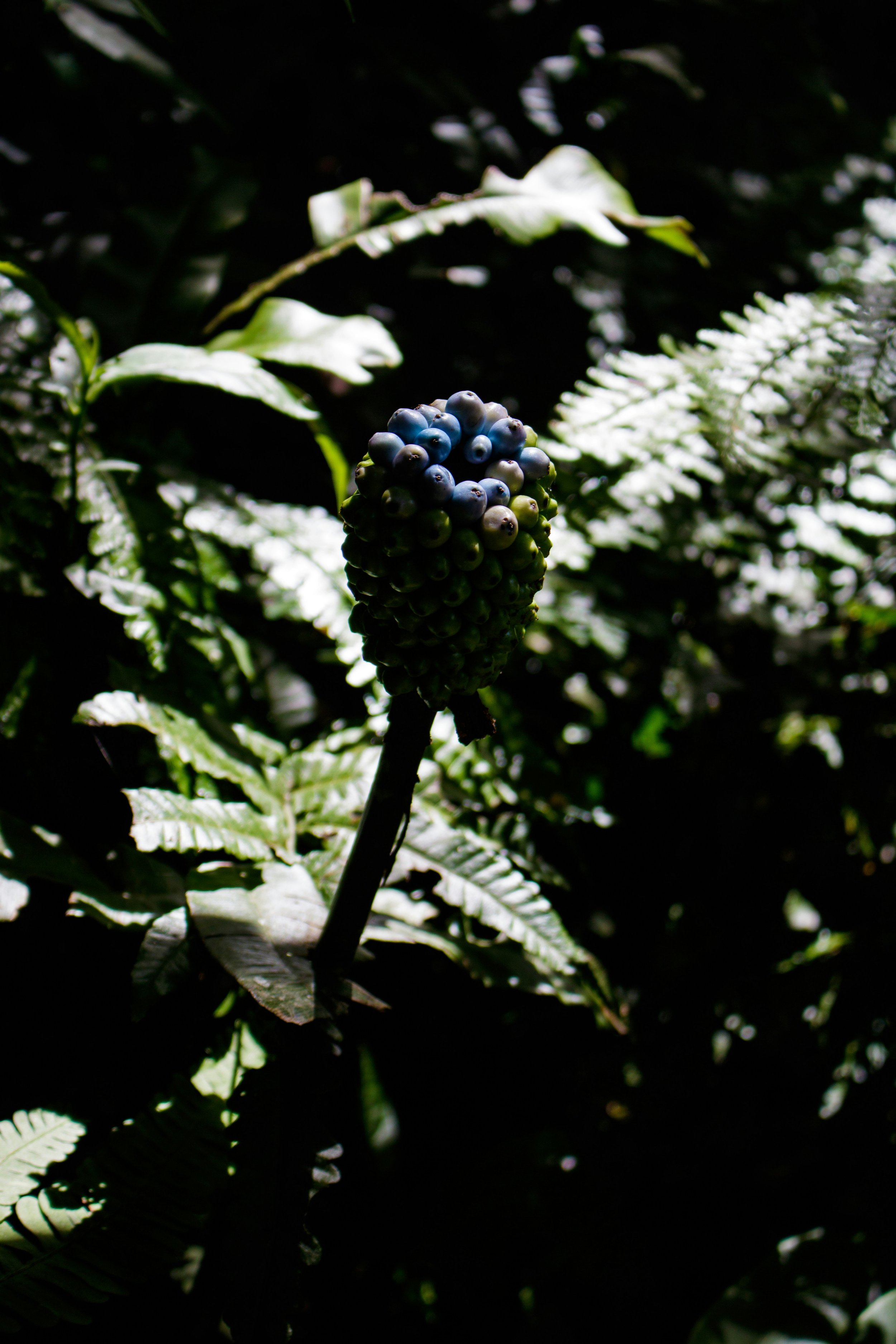 tra-my-JiAwUV3Of9E-unsplash.jpg