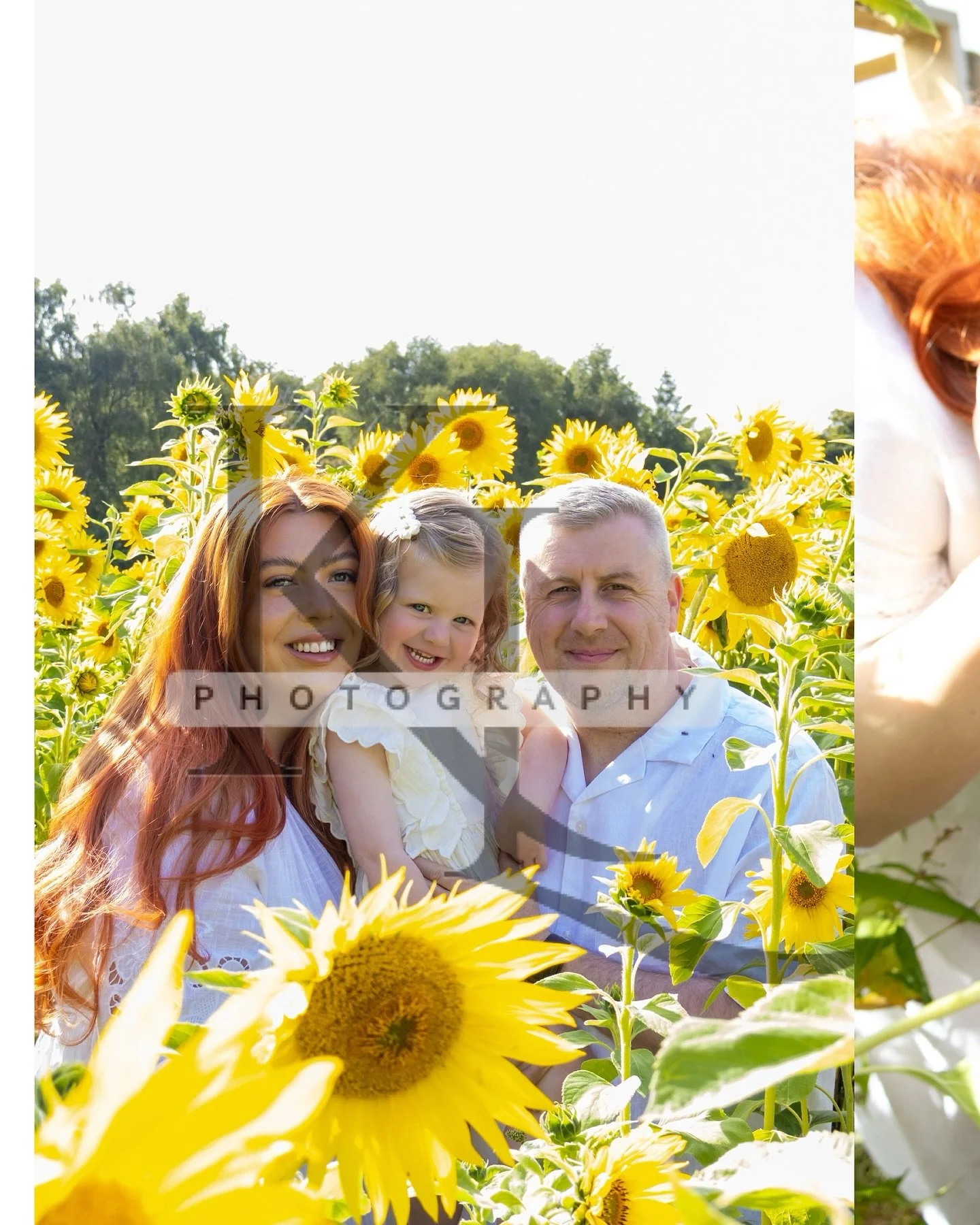 🌻 Wrapped in sunshine, surrounded by love 🌻
This beautiful family lit up the sunflower field with their smiles and sweet connection. Mini sessions like this are what summer dreams are made of 💛

📸 Book your sunflower mini session here: https://bo