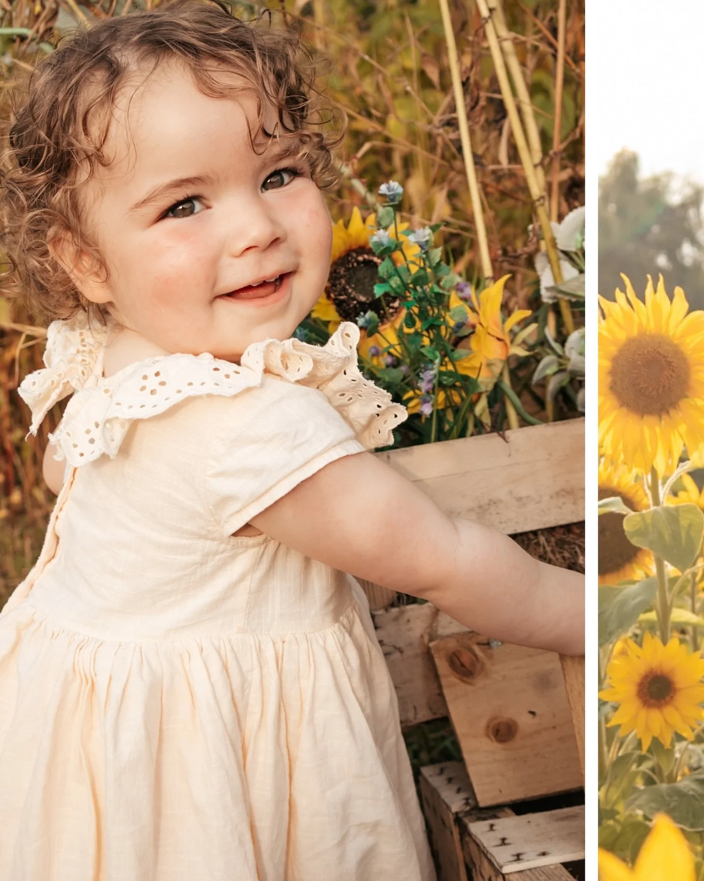 Throwing it back to golden summer evenings and the sweetest little smiles 🌻✨