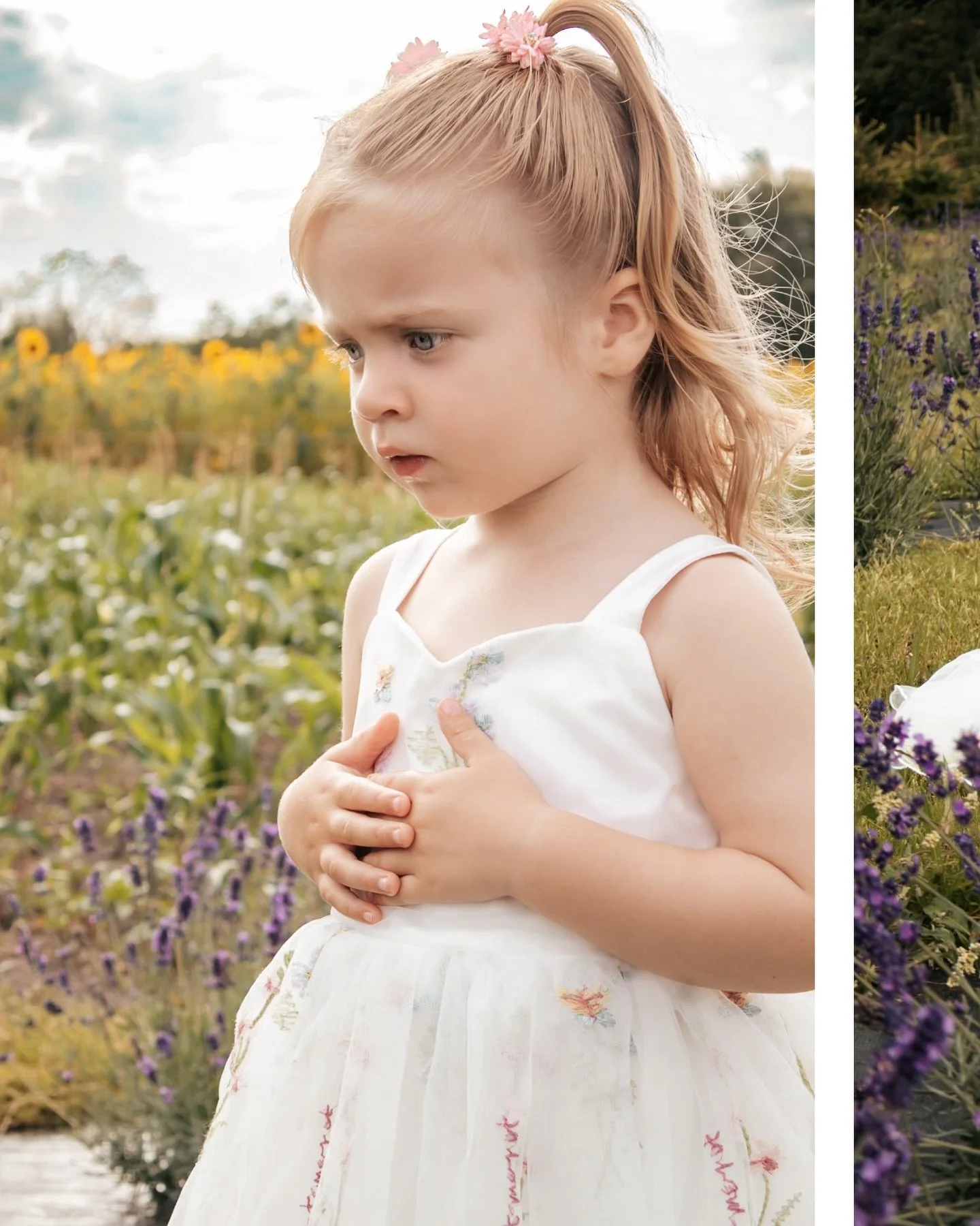 There&rsquo;s something about summer light &mdash; the way it dances through sunflowers and catches a child&rsquo;s laughter. These moments remind me why I love what I do&hellip; capturing pure, fleeting joy. 🌻💜