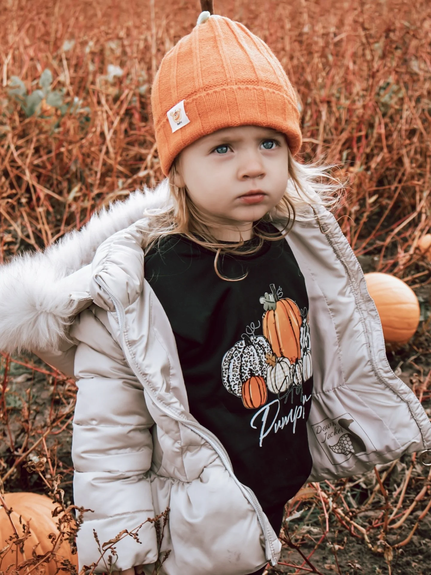 The sweetest part of pumpkin minis &mdash; watching little ones take it all in 🍂📷
