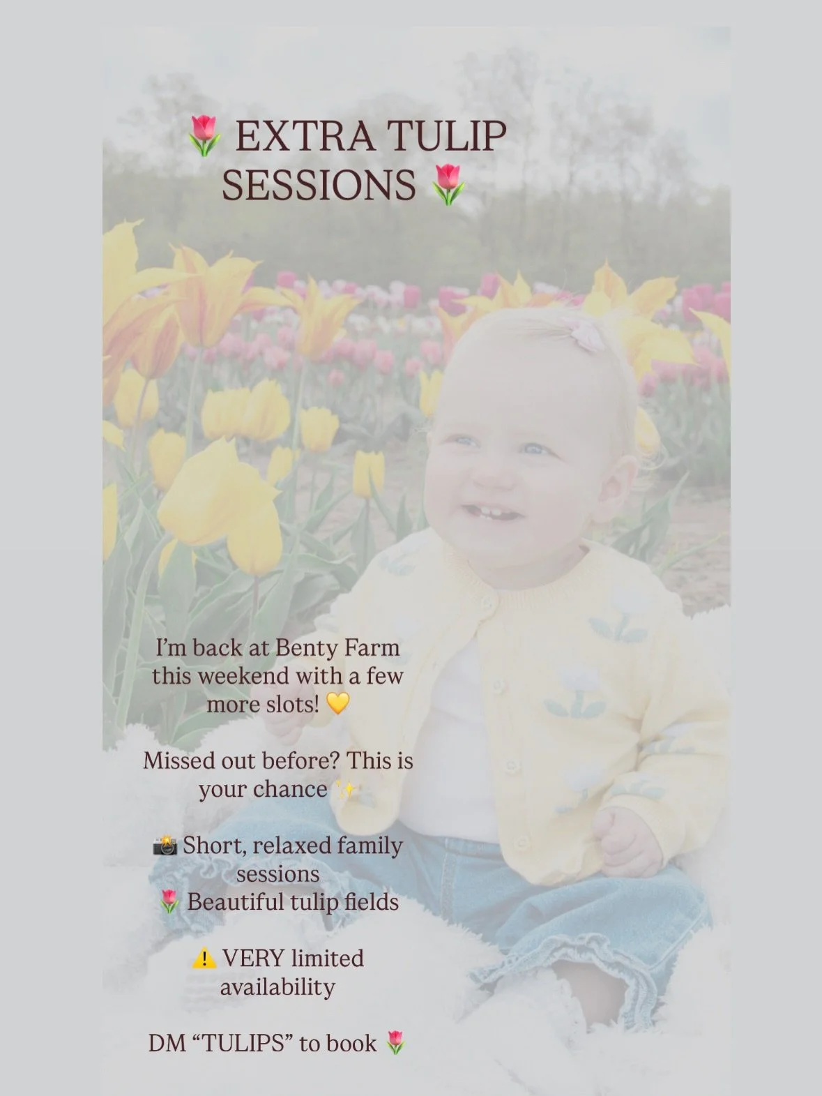 🌷 Back by popular demand&hellip; a *few more tulip sessions just released!* 🌷

I&rsquo;m heading back to the beautiful tulip fields at Benty Farm Tearooms this weekend and have opened up a *very limited* number of extra family photoshoot slots 💛

