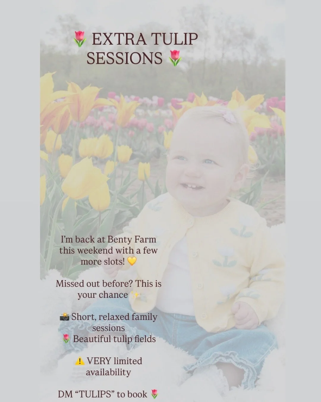 🌷 Back by popular demand&hellip; a *few more tulip sessions just released!* 🌷

I&rsquo;m heading back to the beautiful tulip fields at Benty Farm Tearooms this weekend and have opened up a *very limited* number of extra family photoshoot slots 💛

