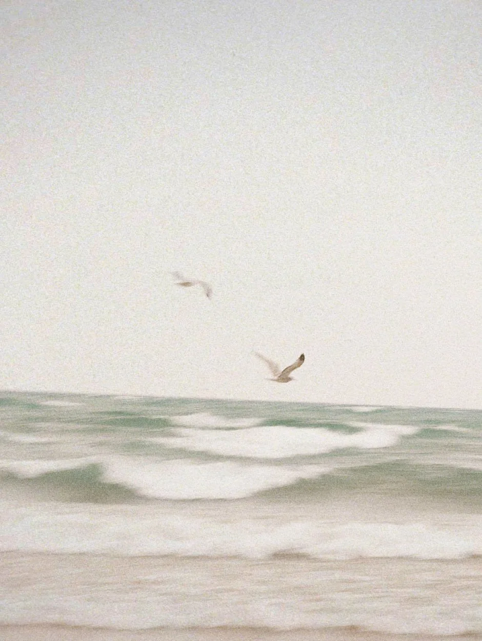 pastel and grainy image of seagulls flying over the sea