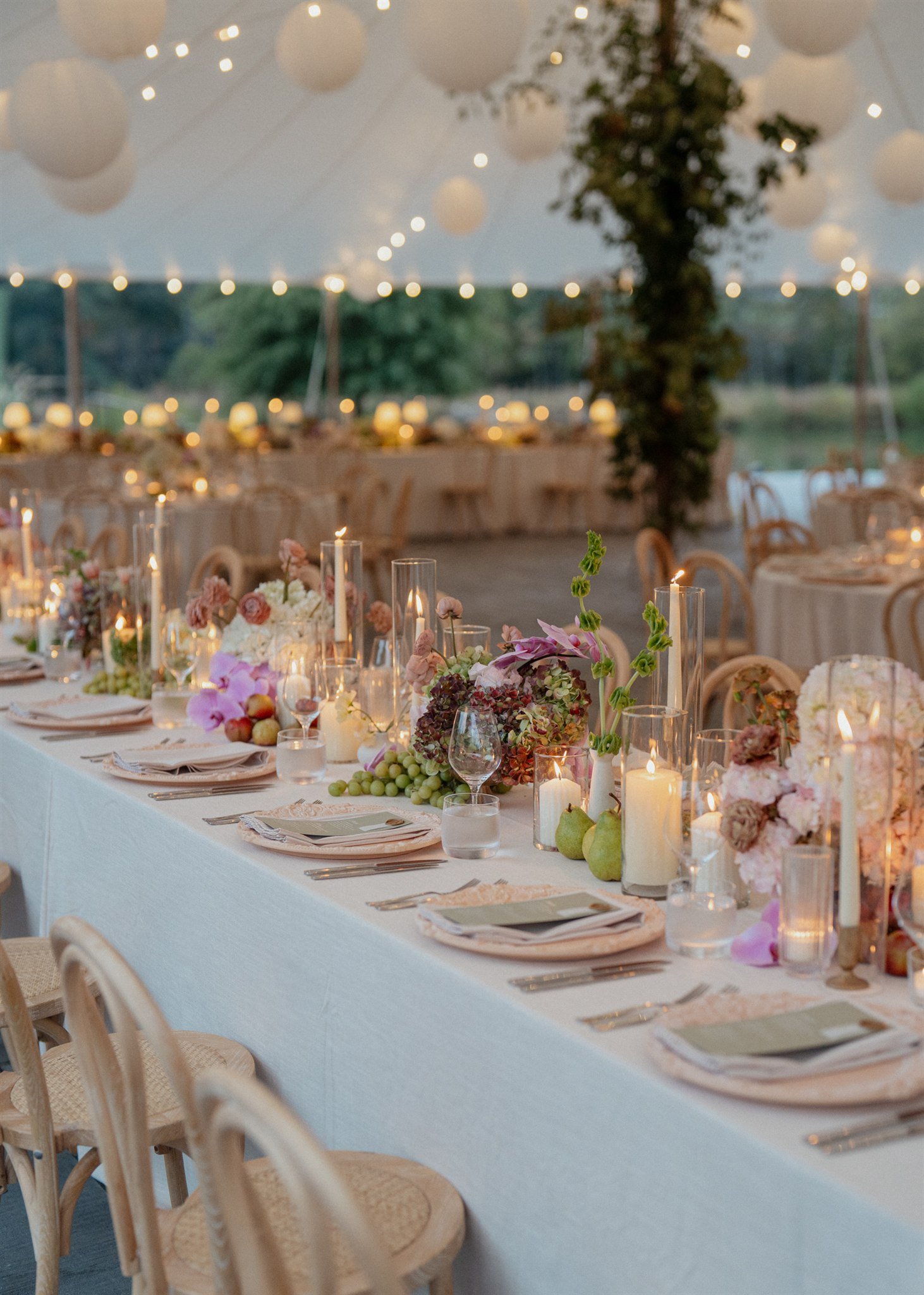 44-Claire and Alex Sneak Peeks Sneak Peeks (1).jpg