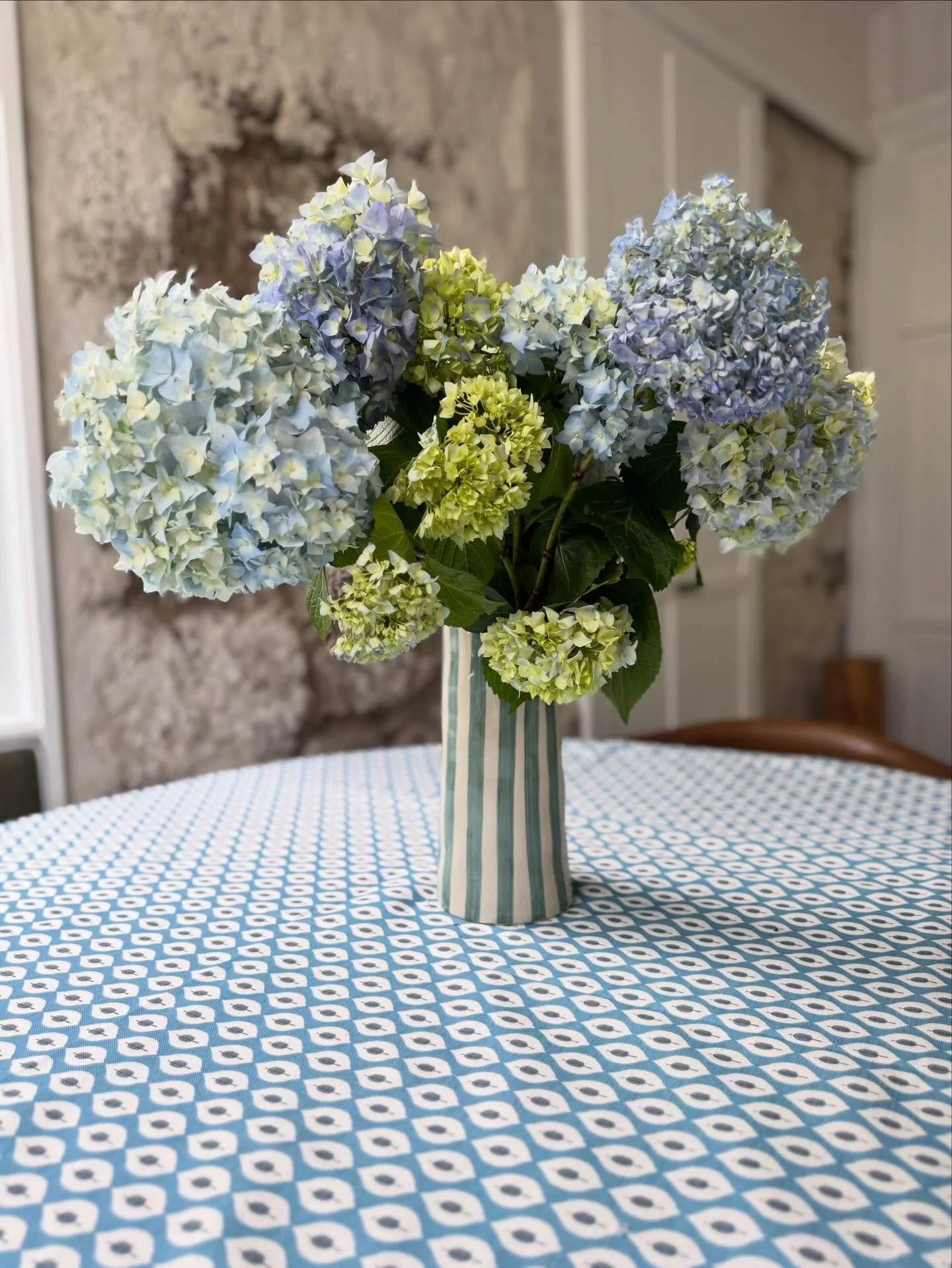 Slow moments after Christmas with the Holmwood 💙