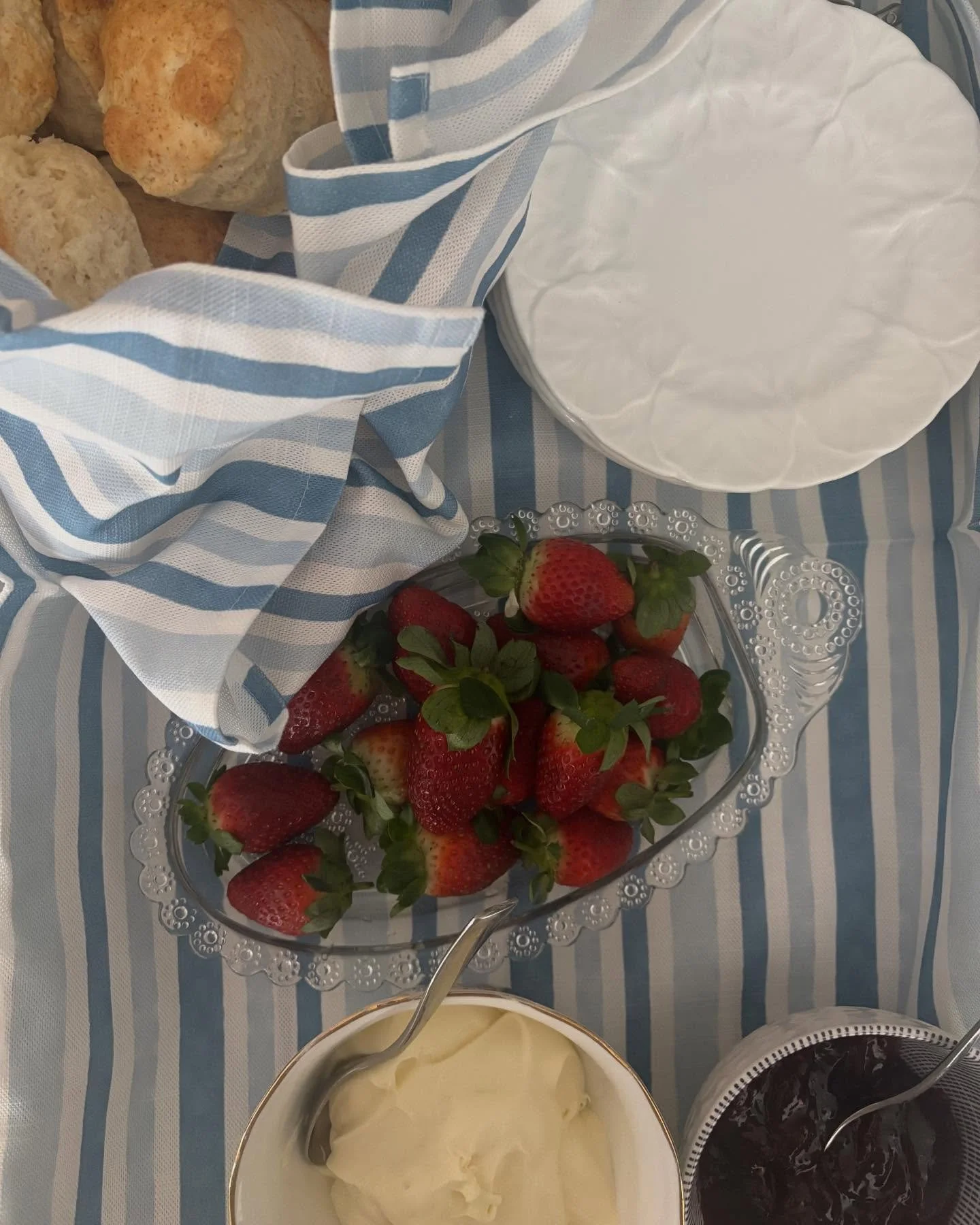 Morning Tea essentials