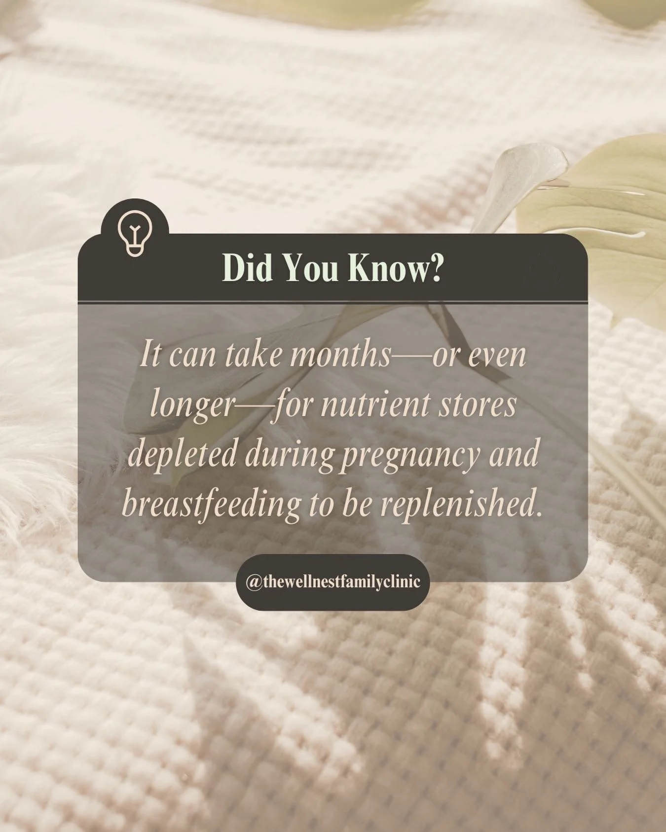 Pregnancy and breastfeeding are incredibly demanding on the body&mdash;physically, hormonally, and nutritionally.

What many people don&rsquo;t realize is that it can take months, and sometimes even longer, for nutrient stores to fully rebuild after 
