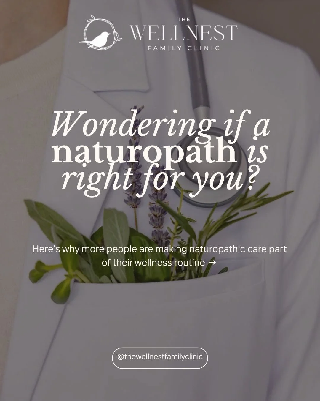 Wondering if a naturopath is right for you? 🌿

If you&rsquo;ve been feeling like something is &ldquo;off&rdquo; but haven&rsquo;t found the answers you&rsquo;re looking for, naturopathic medicine may be a great next step.

A naturopath can help supp