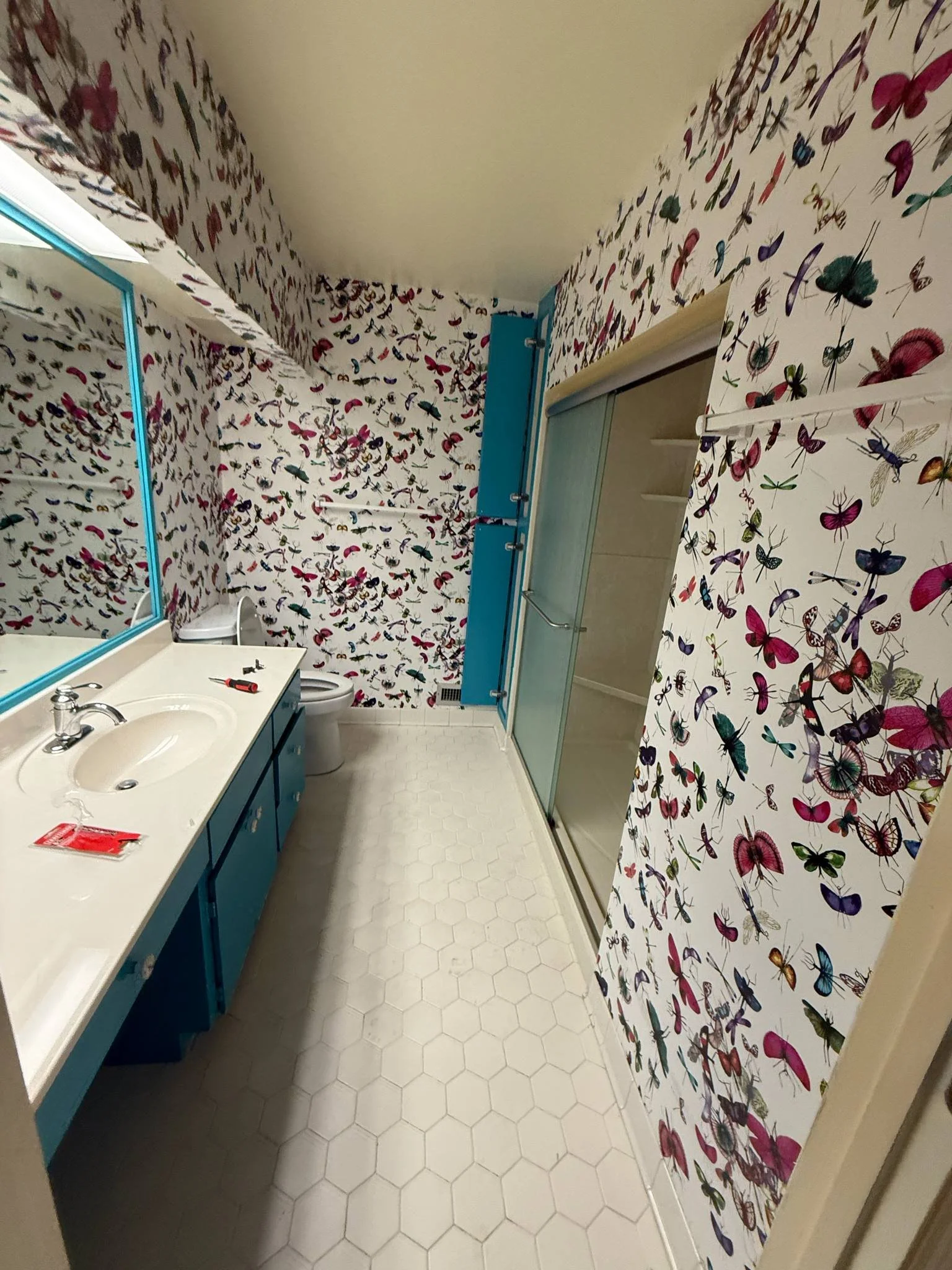 pink bathroom before.jpeg