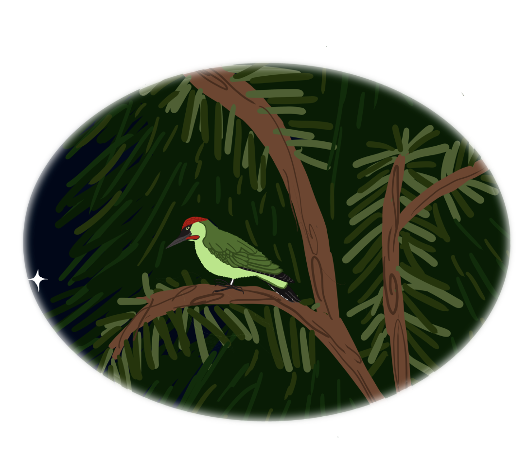 Screenshot 2024-10-08 at 10.02.34 PM.png