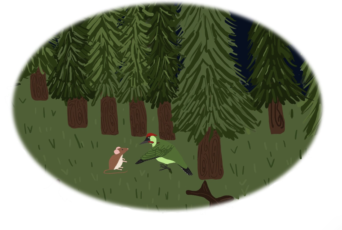 Screenshot 2024-10-08 at 10.03.03 PM.png