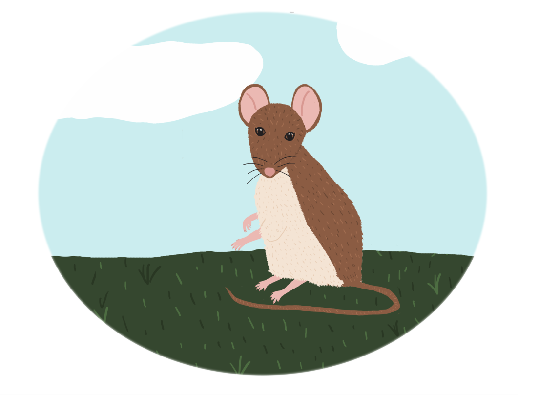 Screenshot 2024-10-08 at 10.02.42 PM.png