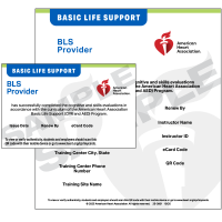 25-3001-bls-provider-ecard.png
