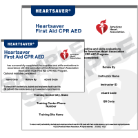 25-3002-hs-fa-cpr-aed-ecard.png