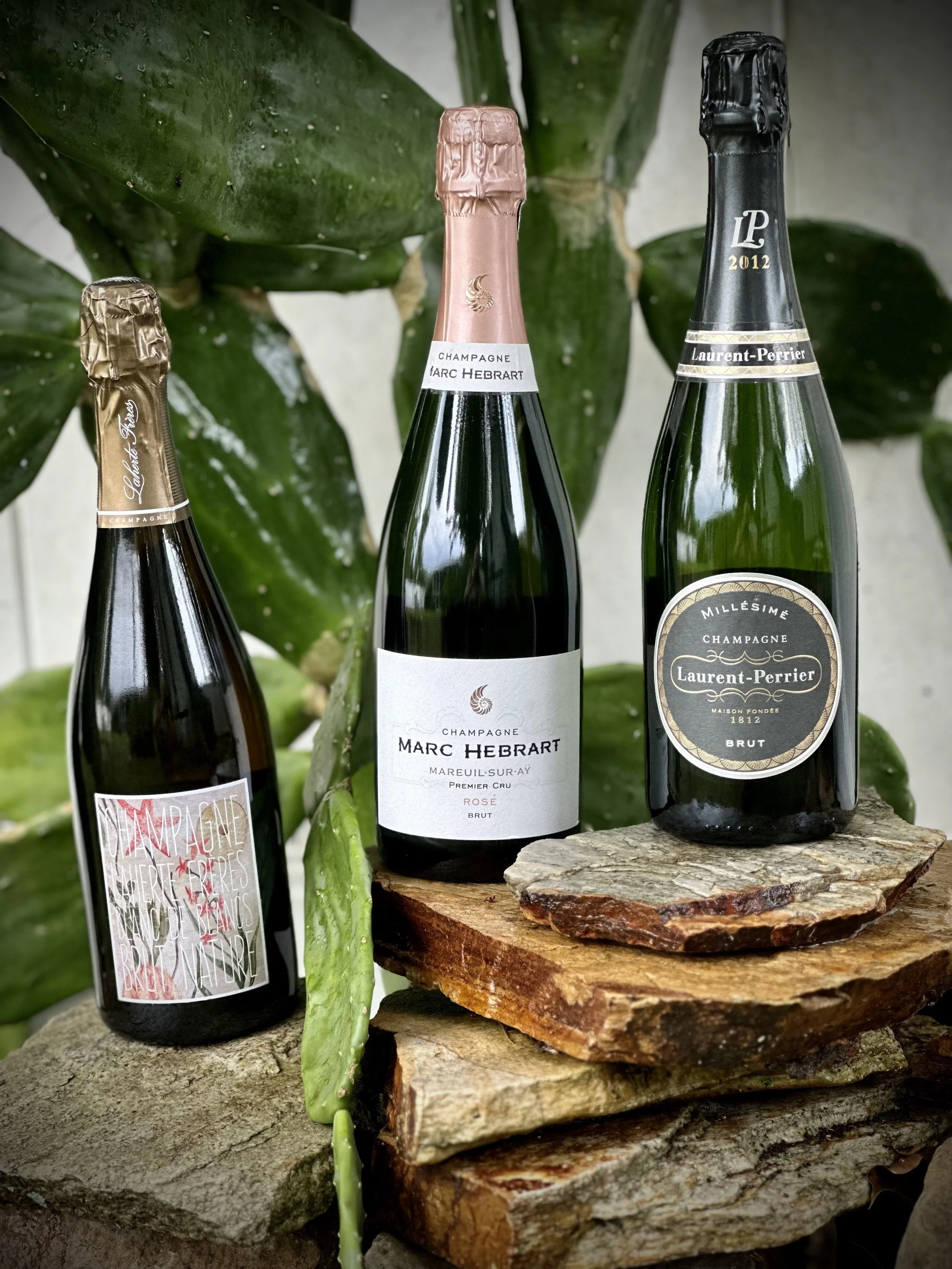 Three bottles of champagne displayed on a rocky surface with green foliage in the background. The first bottle is labeled 'Champagne Mareuil Sur Ay', the second is 'Champagne Marc Hebrart', and the third 'Laurent-Perrier'.