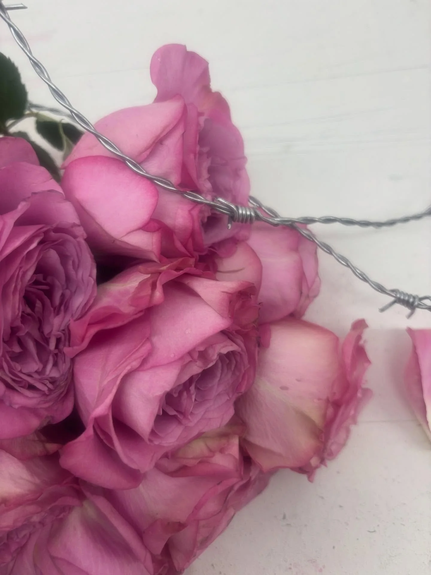 but when the sun glitters on the ocean 😭