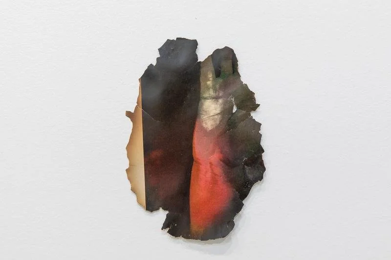 Untitled, 2025. Found imagery.