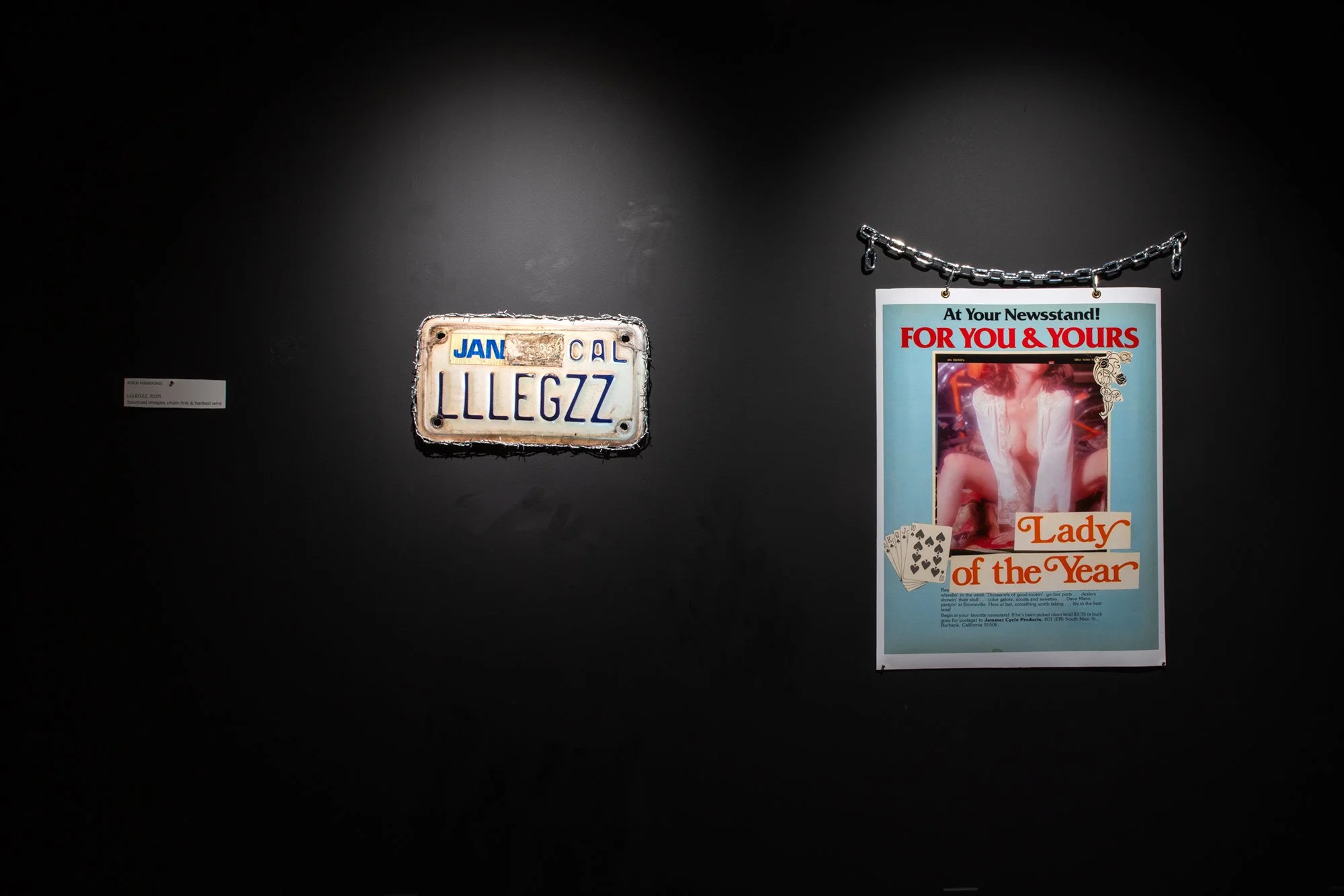 LLLEGZZ, 2025. Sourced images, barbed wire and chain link.
