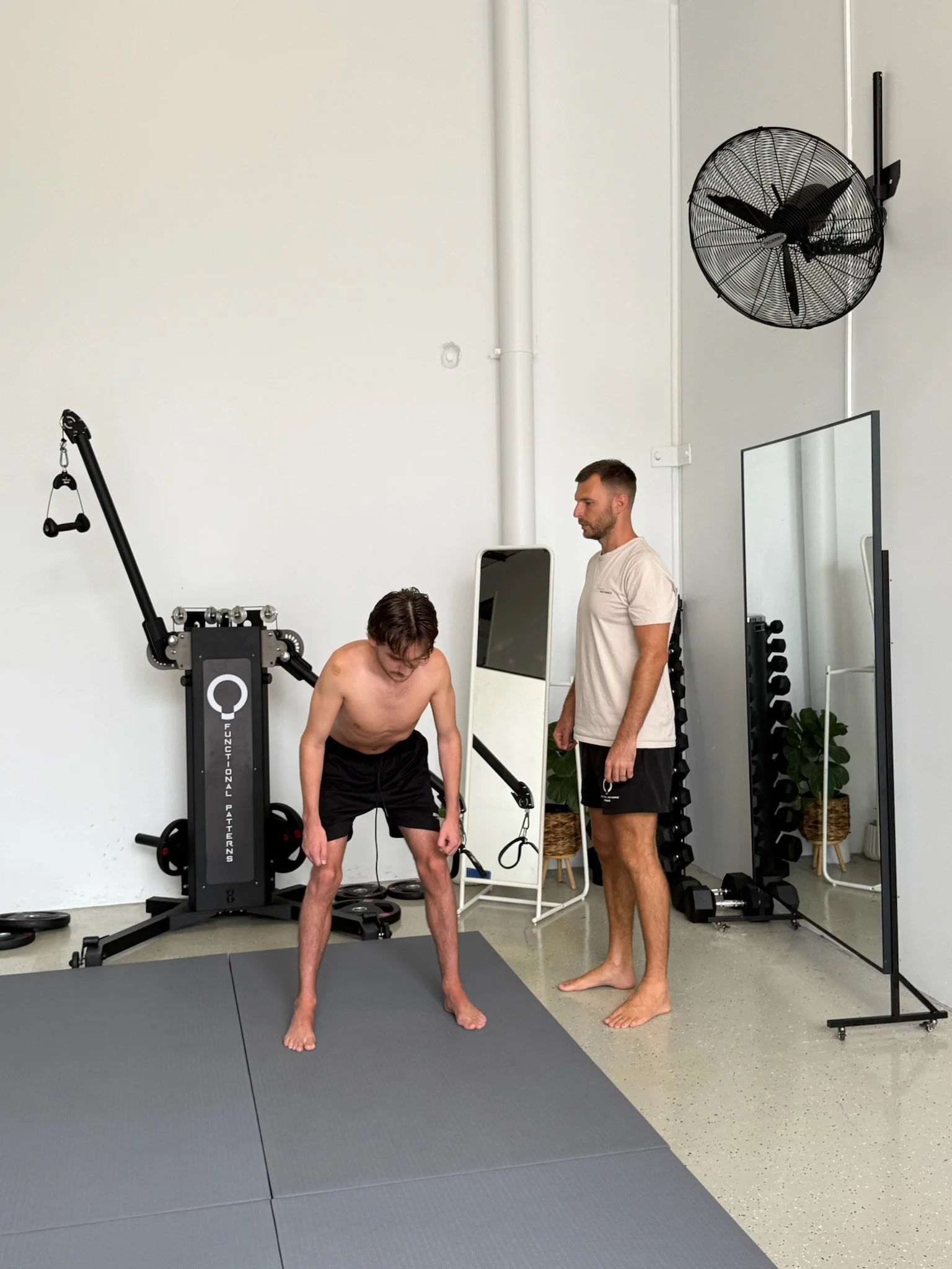 eds 4. Nervous System Safety