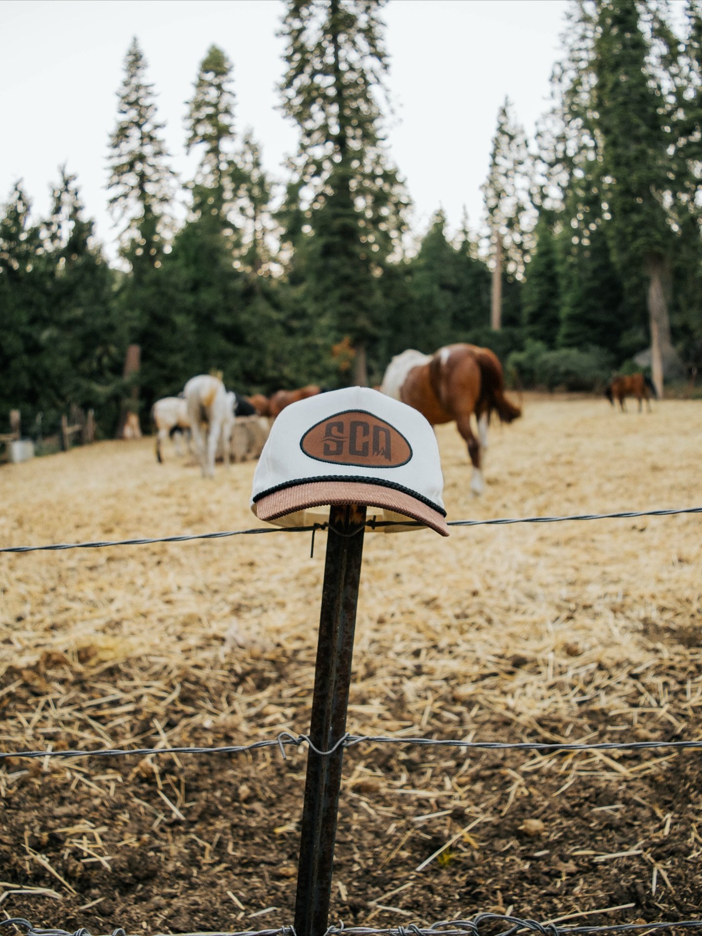 Our website is currently locked due to store updates! 👀 SCO!