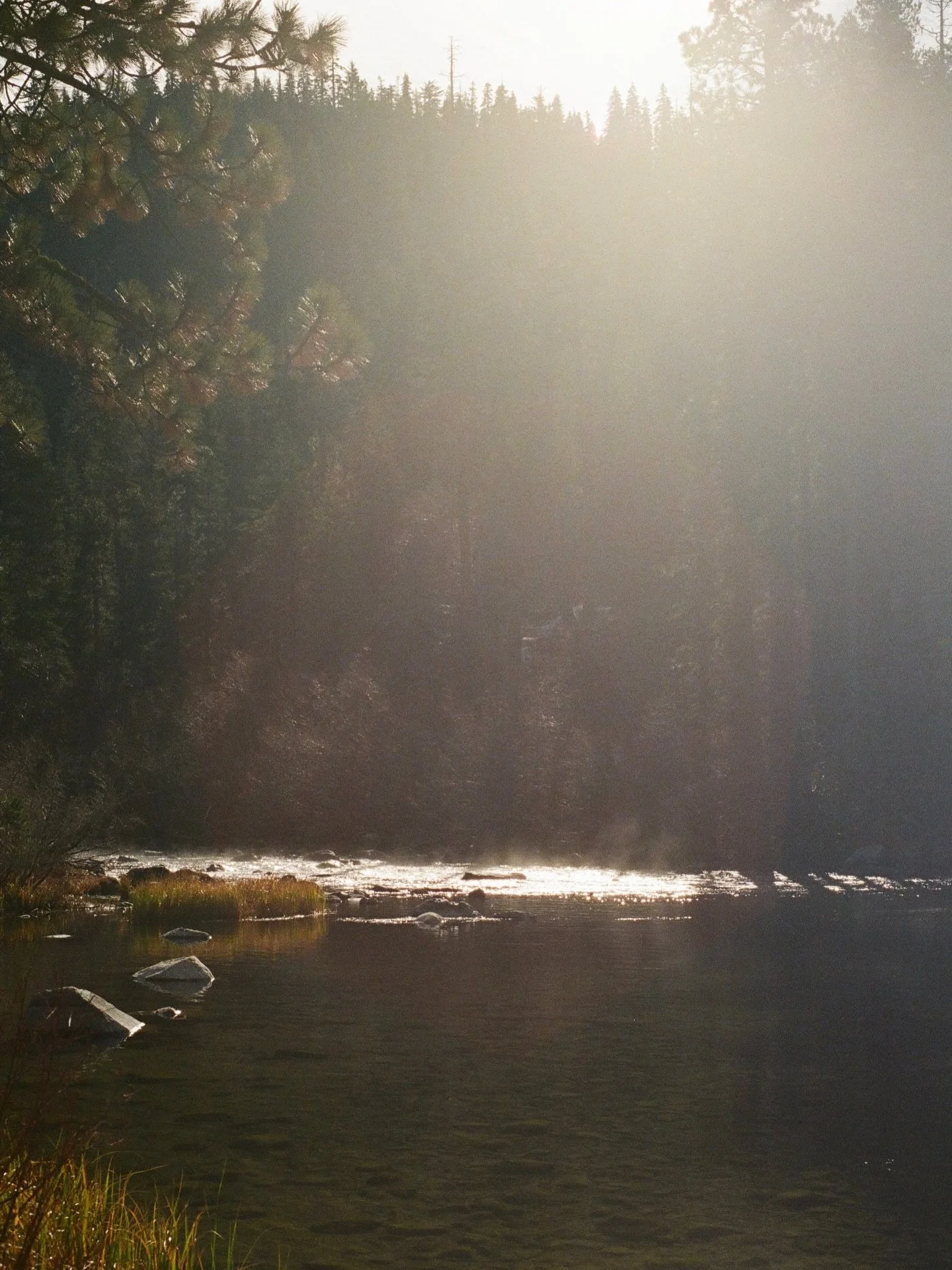 Where the morning goes quiet. SCO!