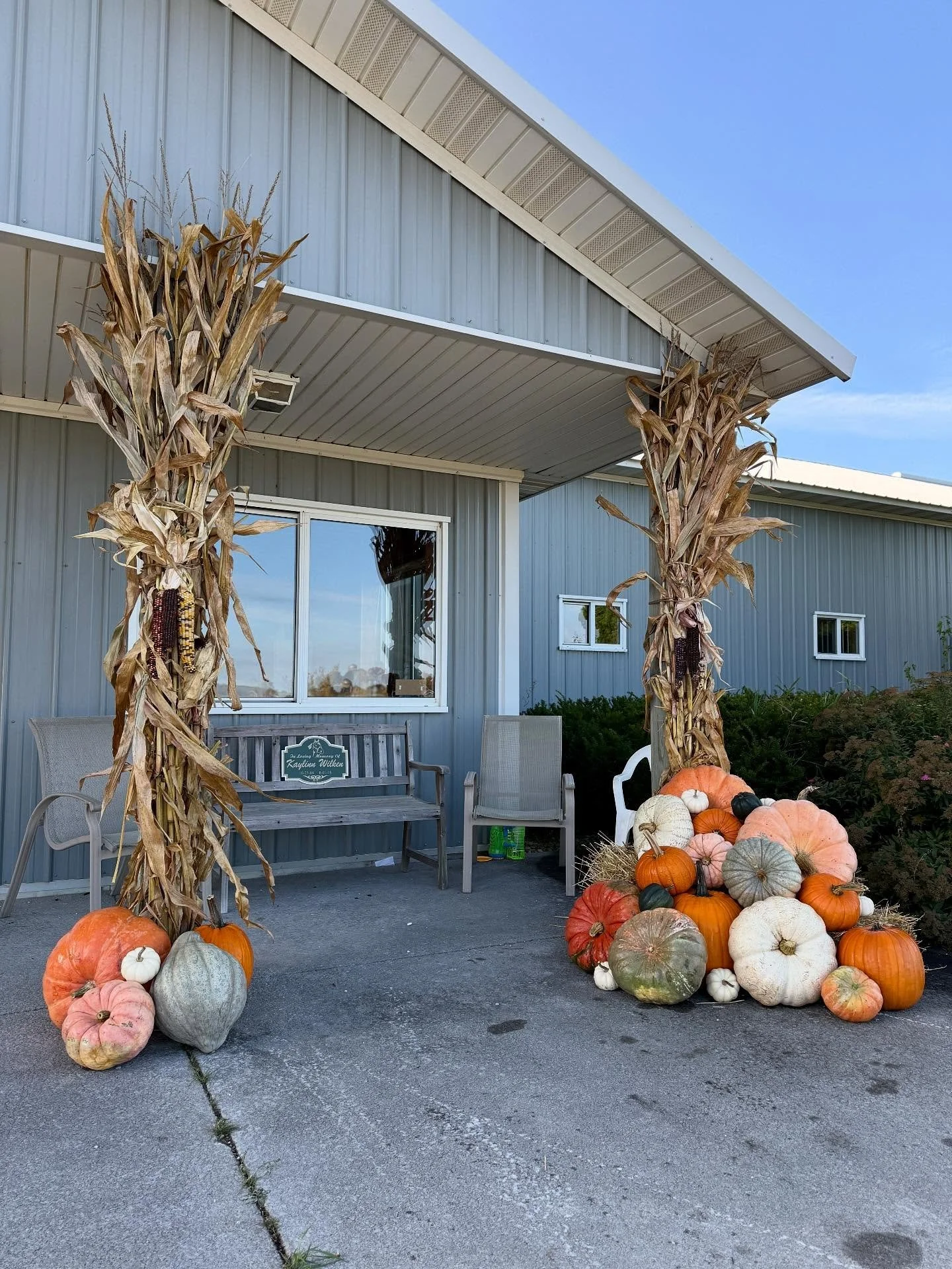 corn stalk bundle