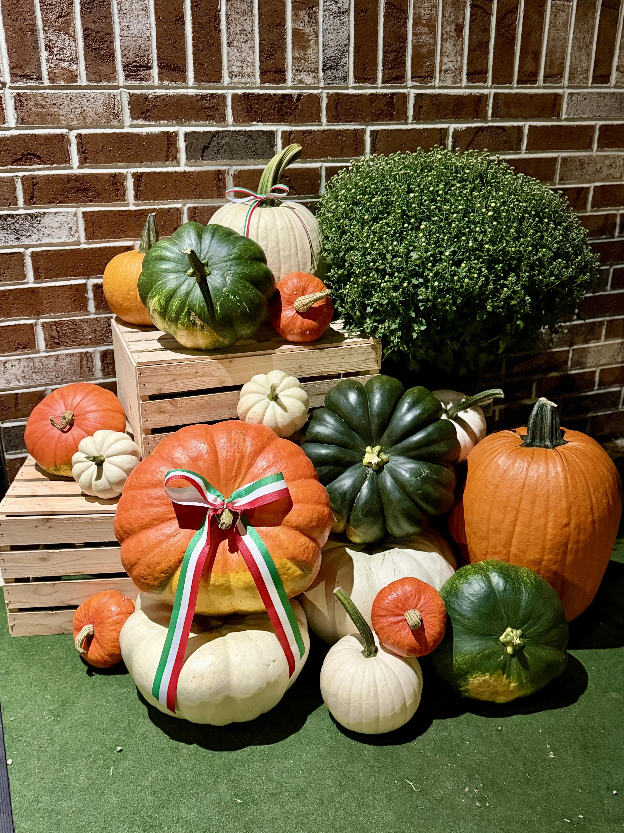 IMG_3679.jpg