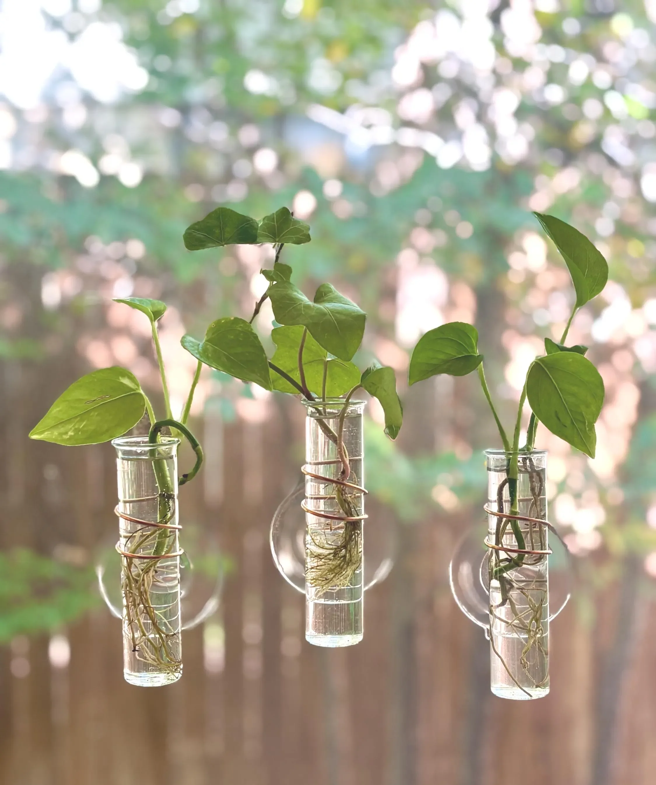 WORKSHOP mini: Window Propagation Station