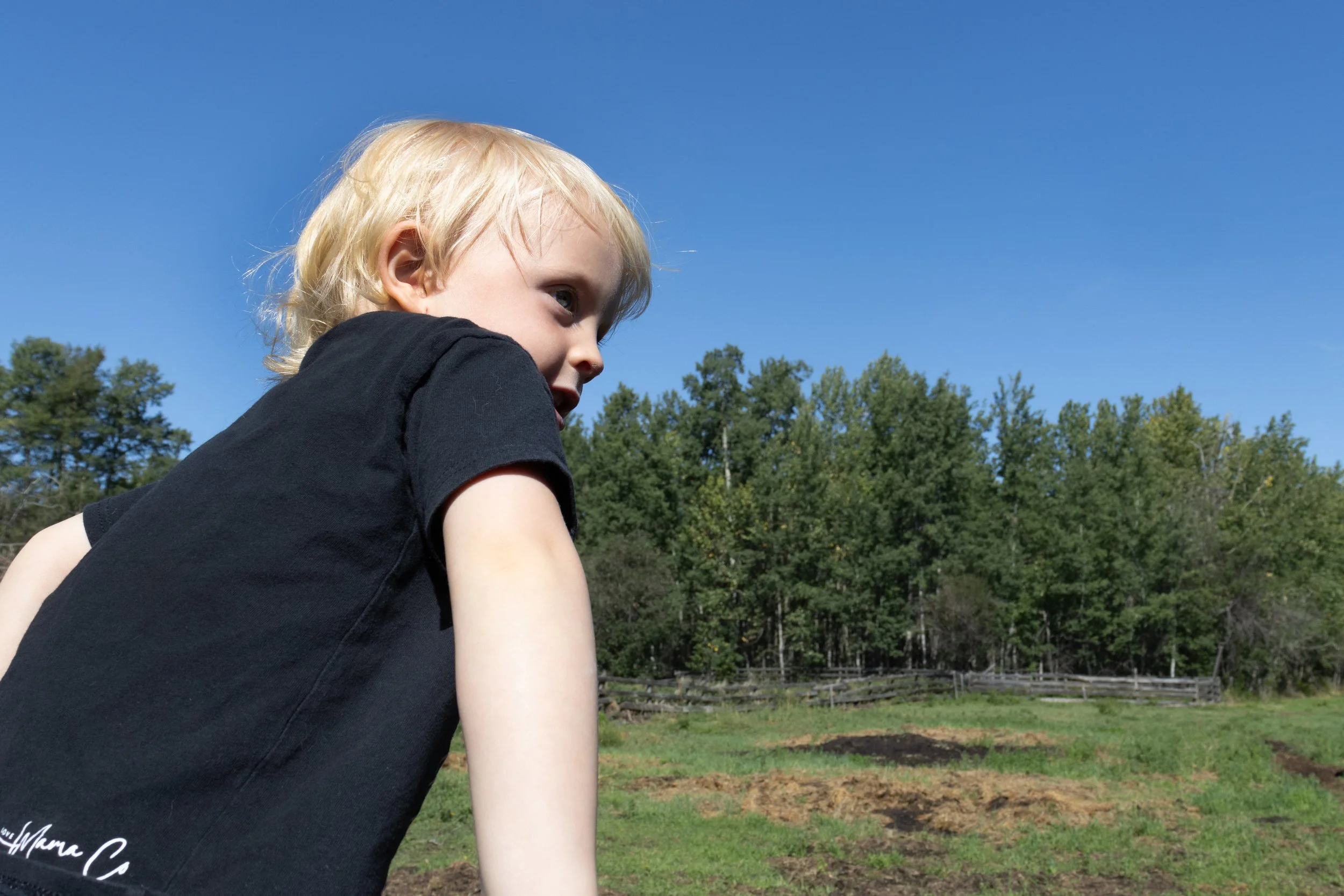 Peace River Petals-20.jpg