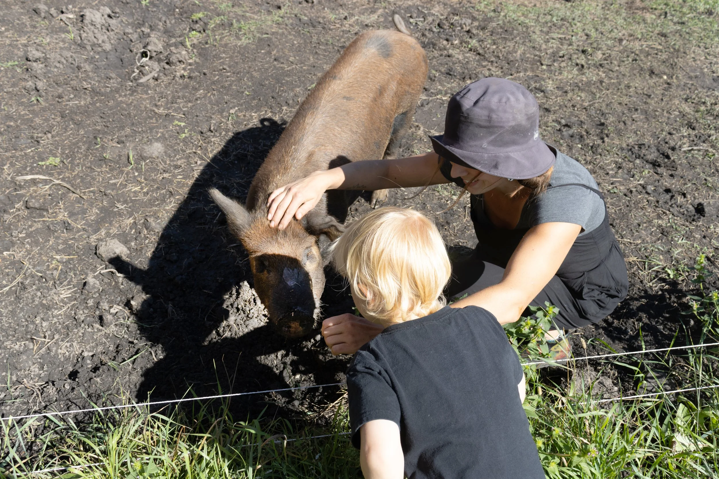 Peace River Petals-17.jpg
