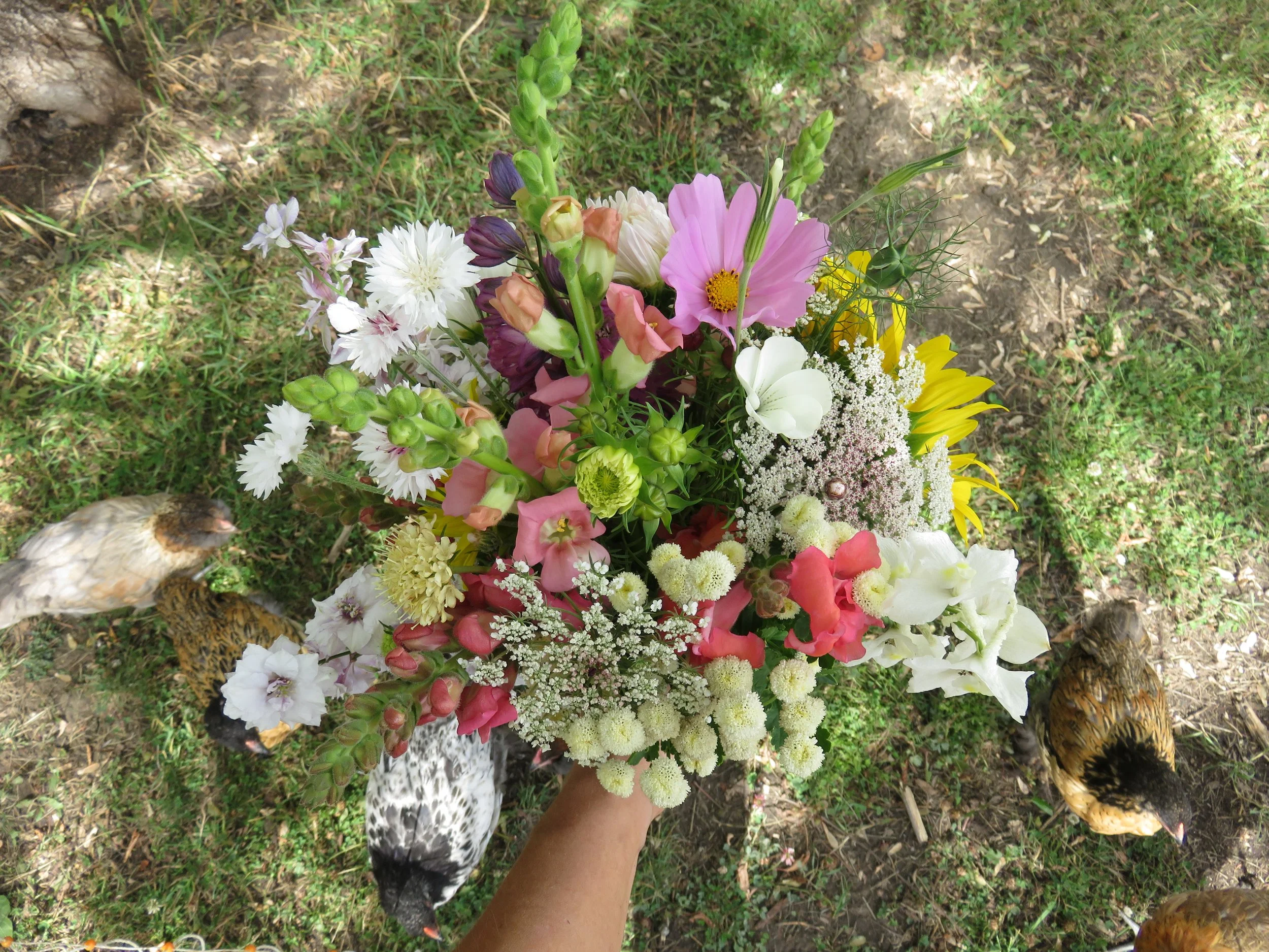 4-weeks of Summer Flowers